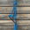 Lariat Mule Tape Halters - Assorted Colors-