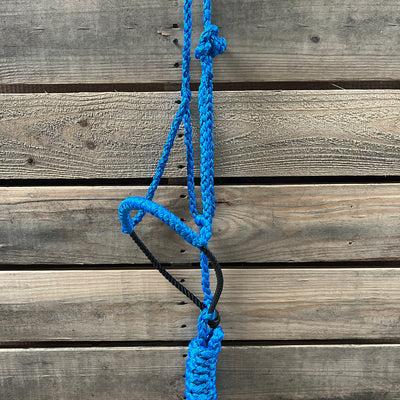 BLUE/BLACK