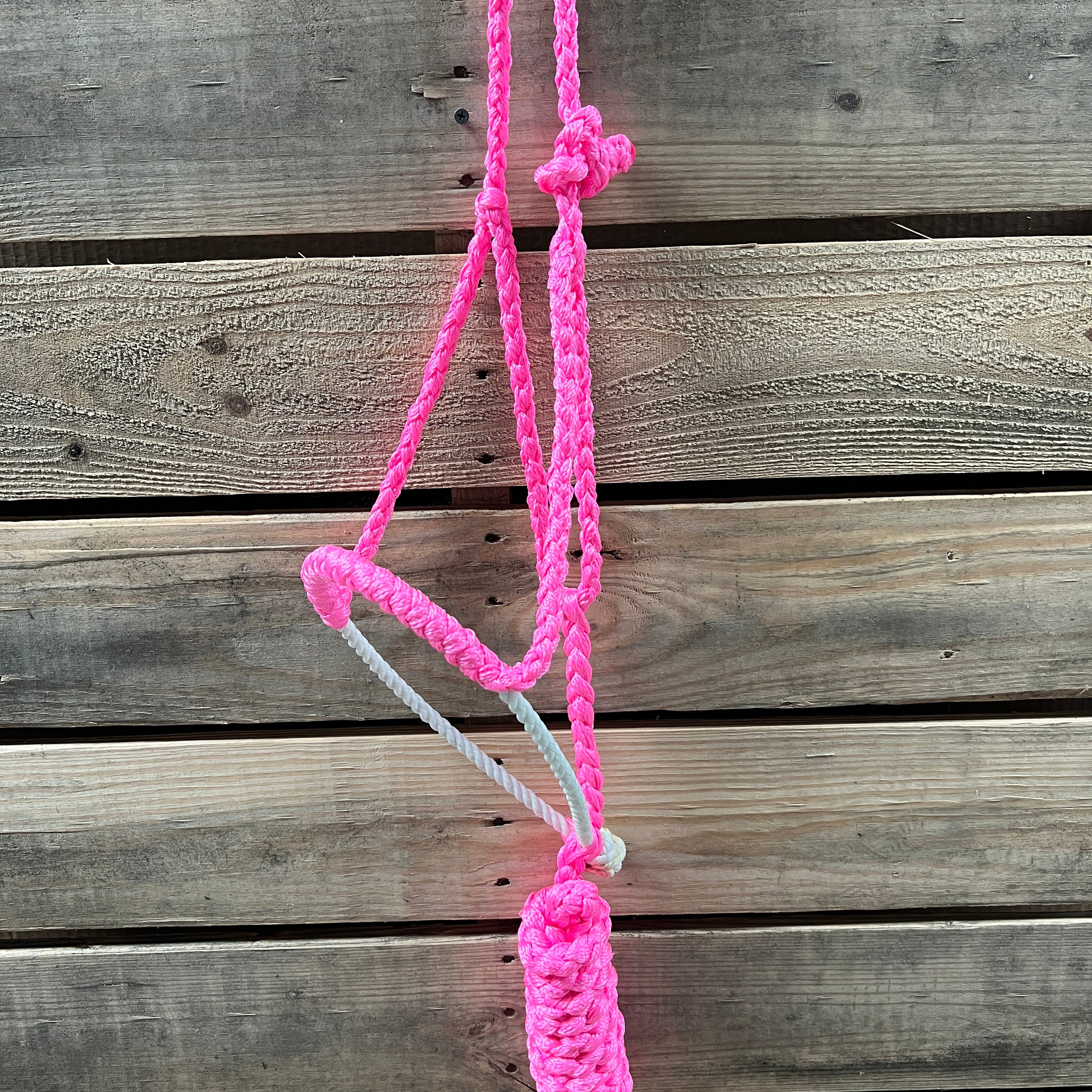 Lariat Mule Tape Halters - Assorted Colors-