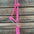 Lariat Mule Tape Halters - Assorted Colors-