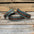 Turquoise Floral Genuine Leather Padded Dog Collar #FKDC1
