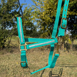 Teal Bling Nylon Horse Halter BNHTEAL