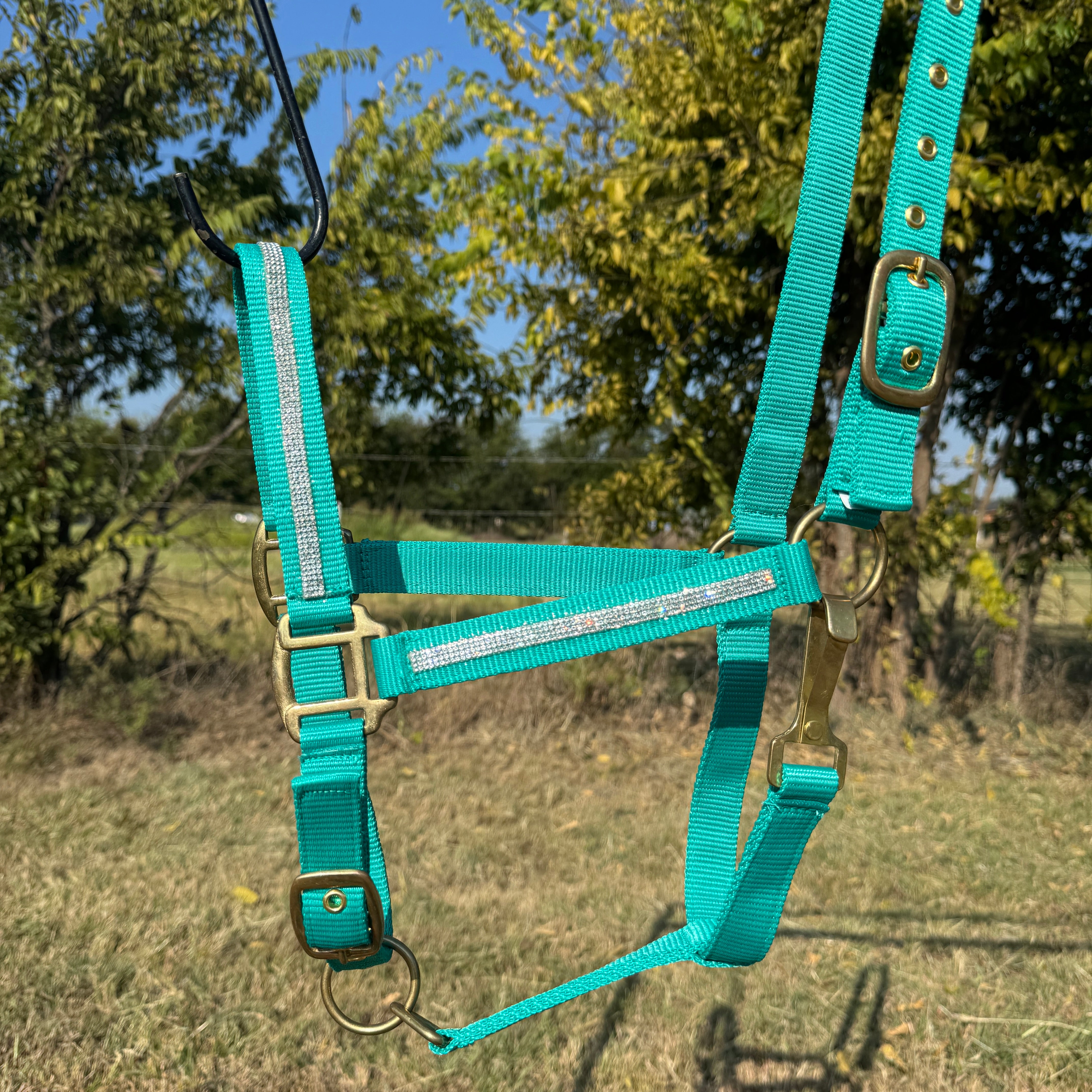 Teal Bling Nylon Horse Halter BNHTEAL
