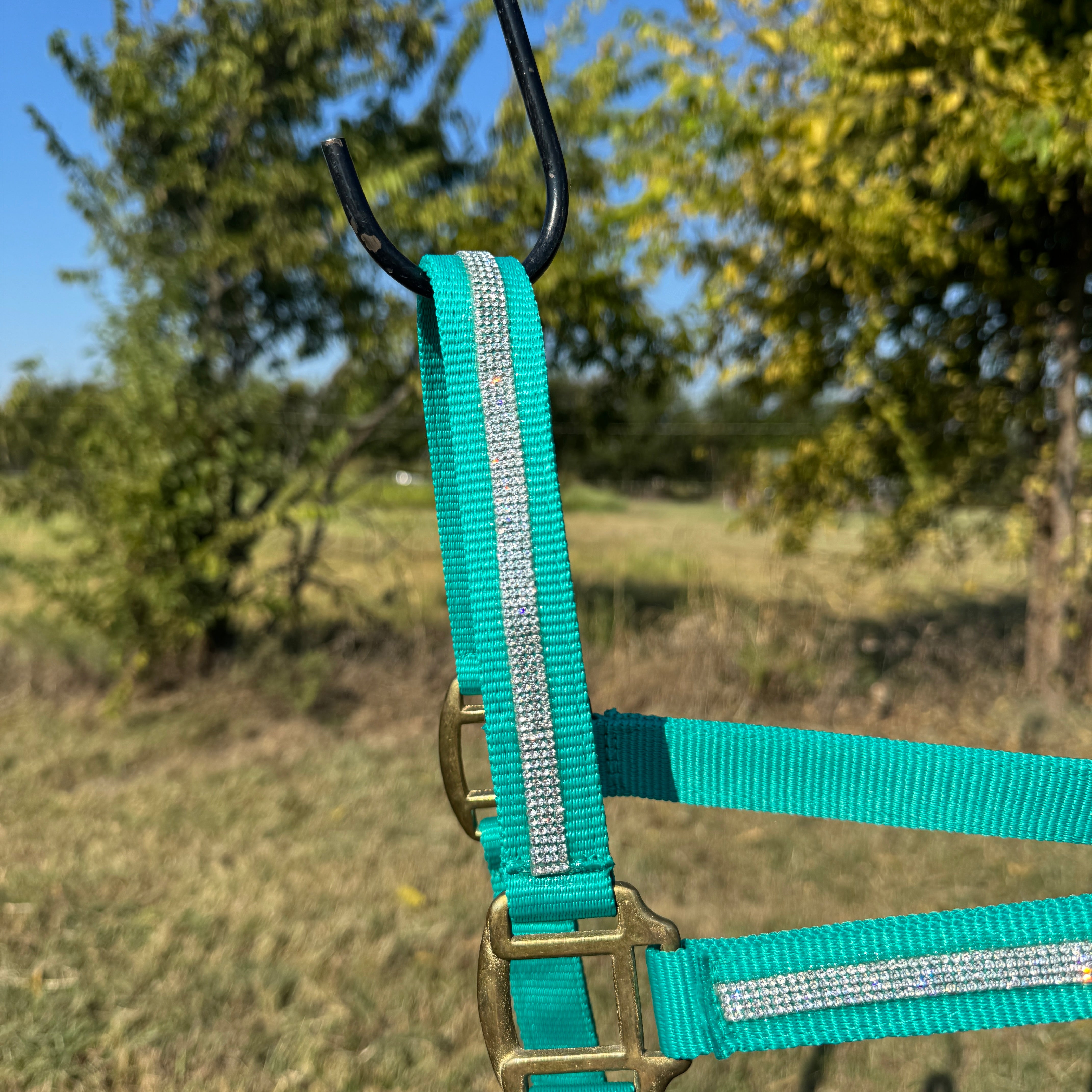 Teal Bling Nylon Horse Halter BNHTEAL