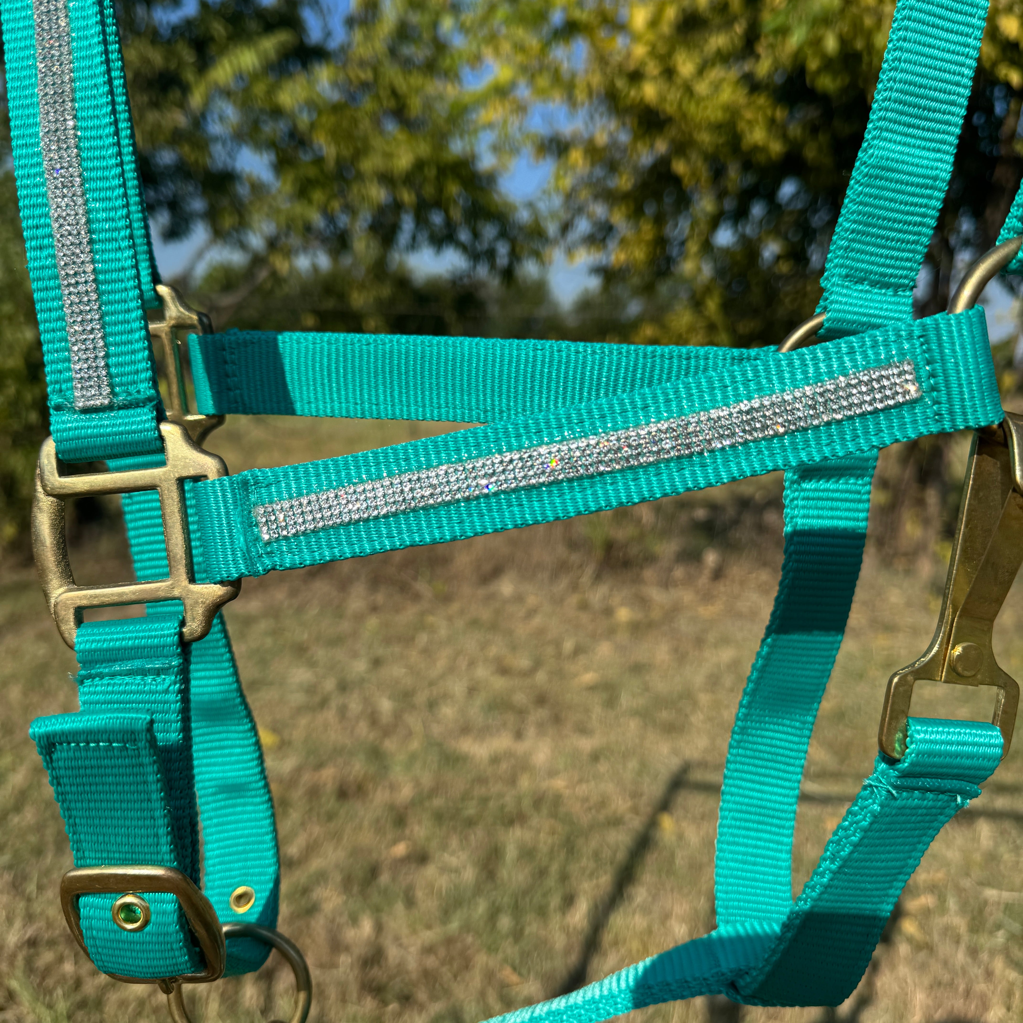 Teal Bling Nylon Horse Halter BNHTEAL
