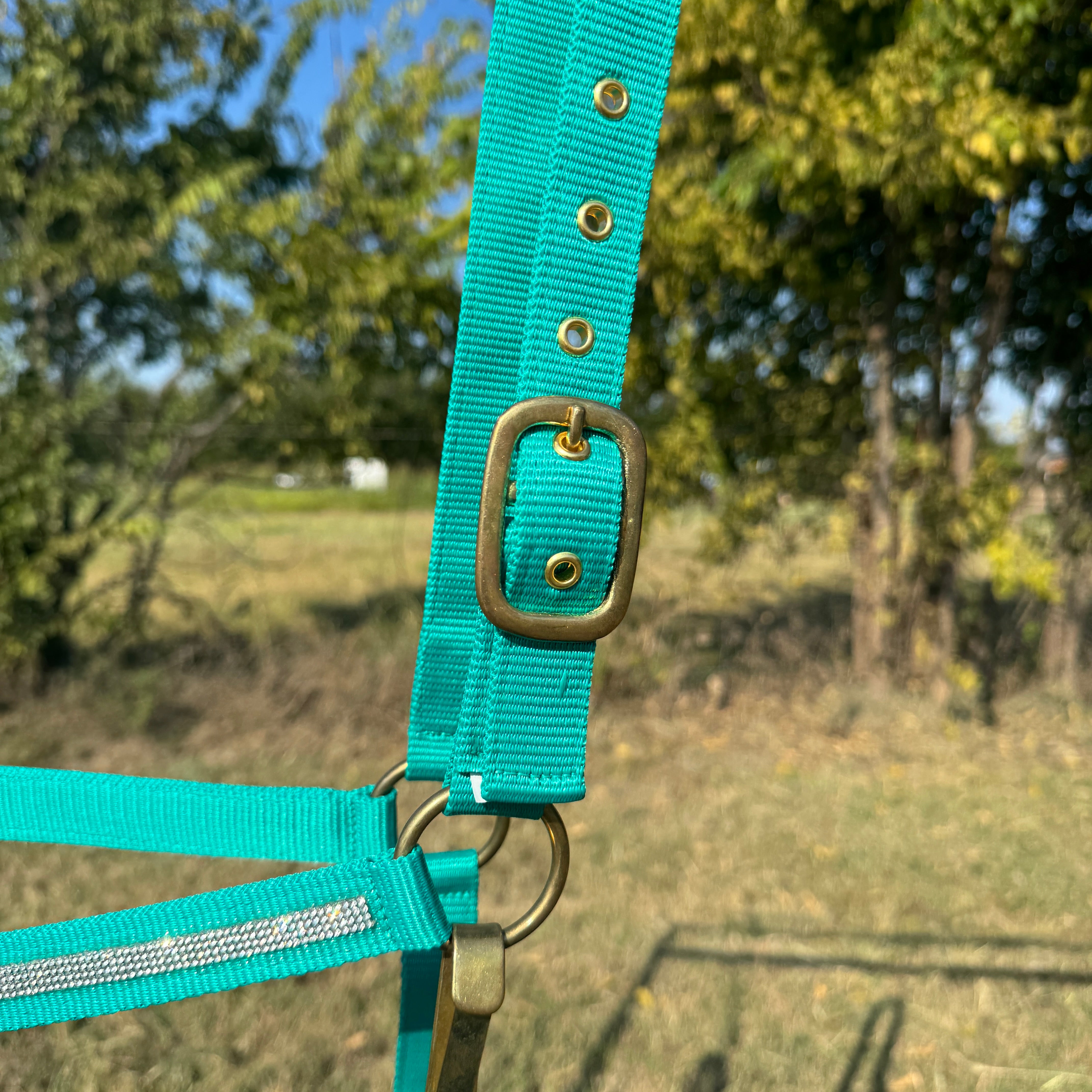 Teal Bling Nylon Horse Halter BNHTEAL