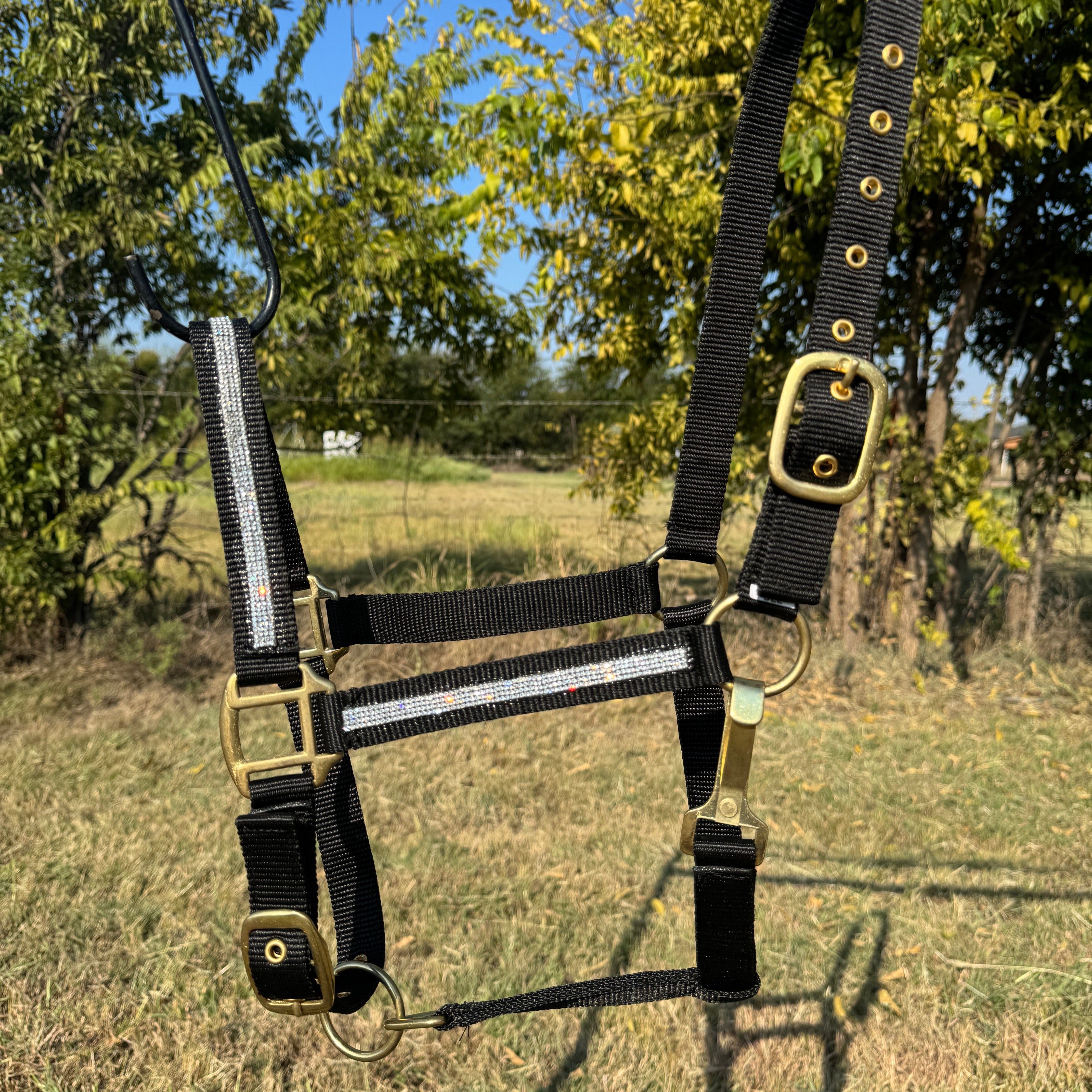 Black and brass horse halter with rhinestone on a grassy field background