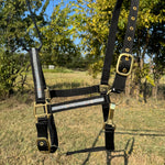 Black and brass horse halter with rhinestone on a grassy field background
