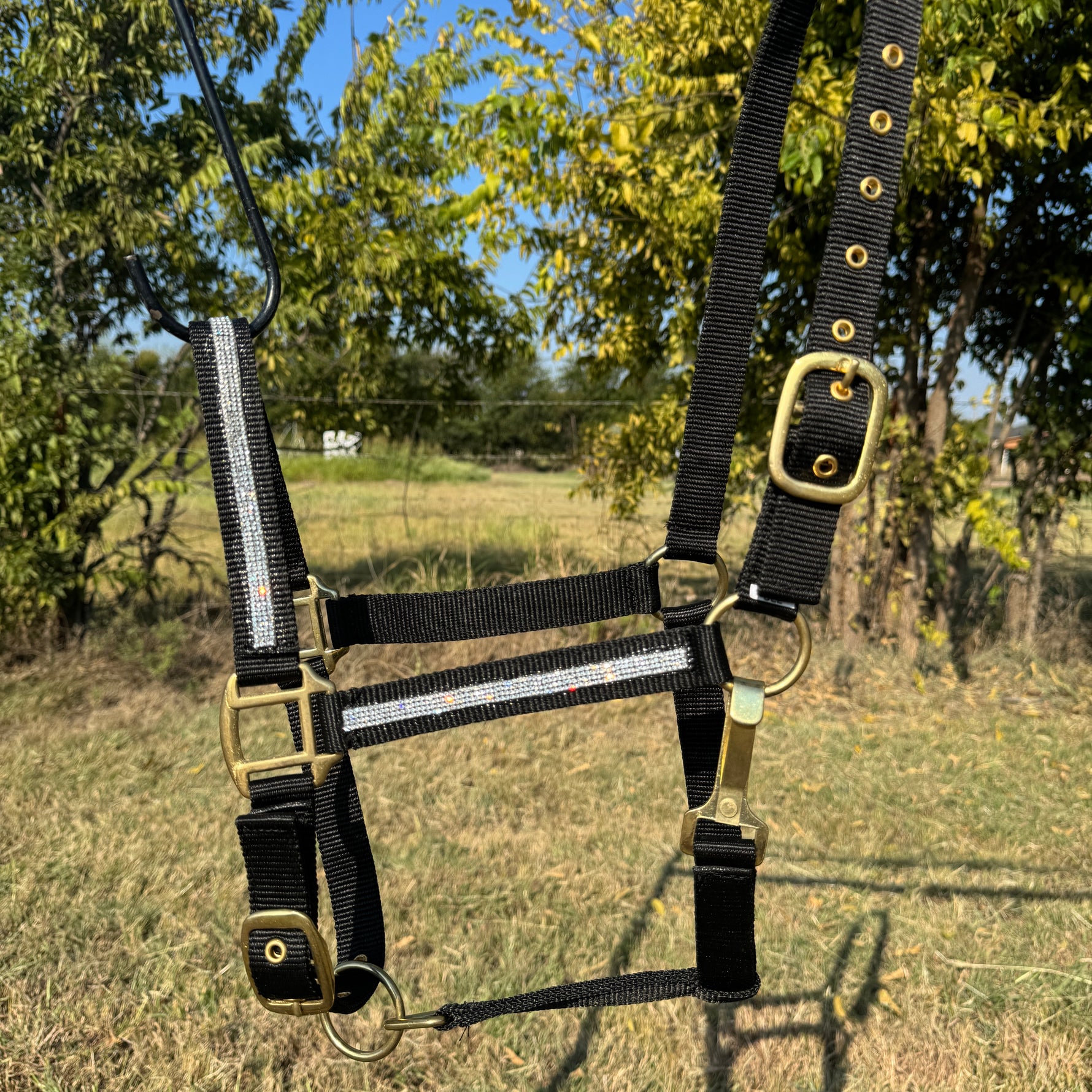 Black and brass horse halter with rhinestone on a grassy field background