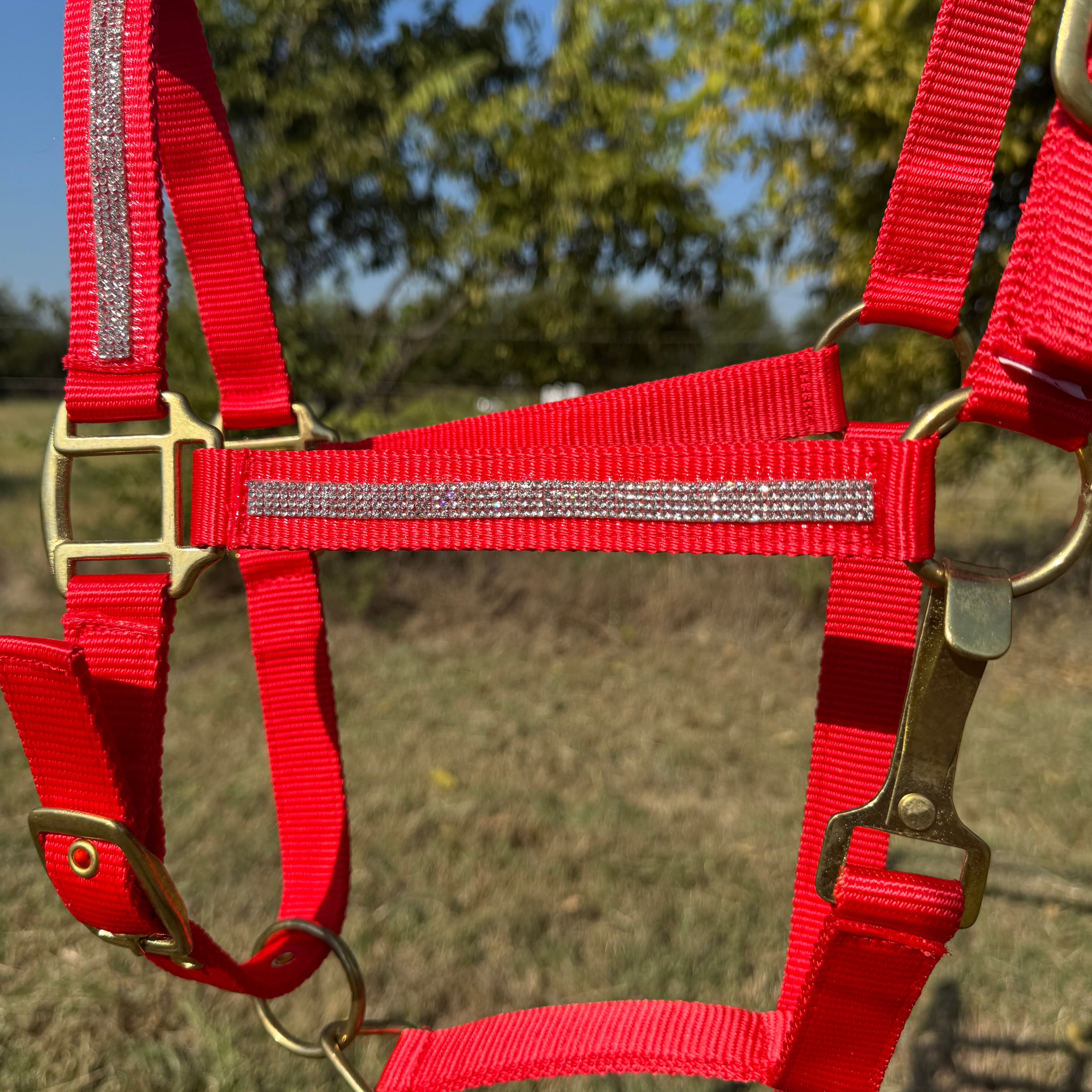 Red Bling Nylon Horse Halter BNHRED