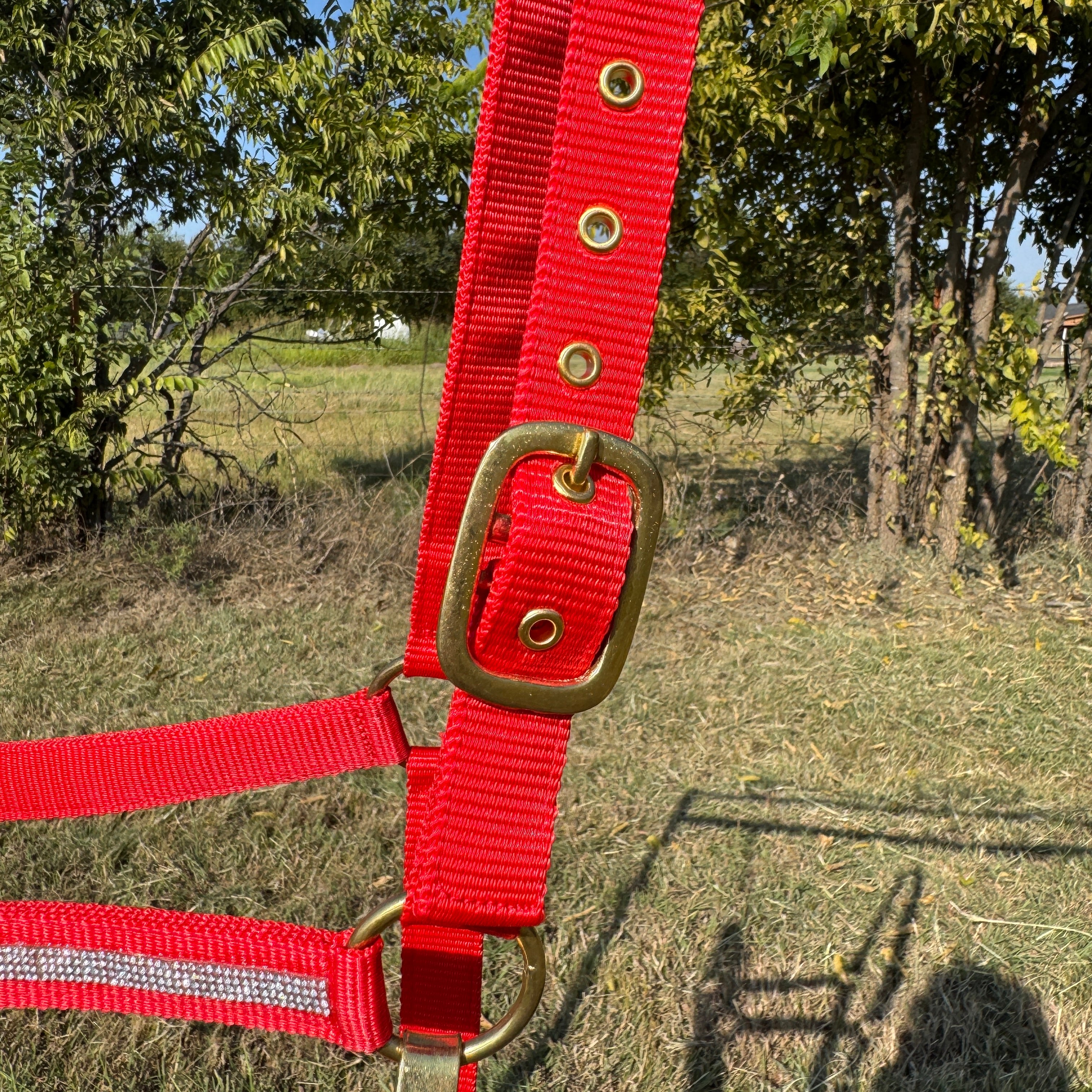 Red Bling Nylon Horse Halter BNHRED