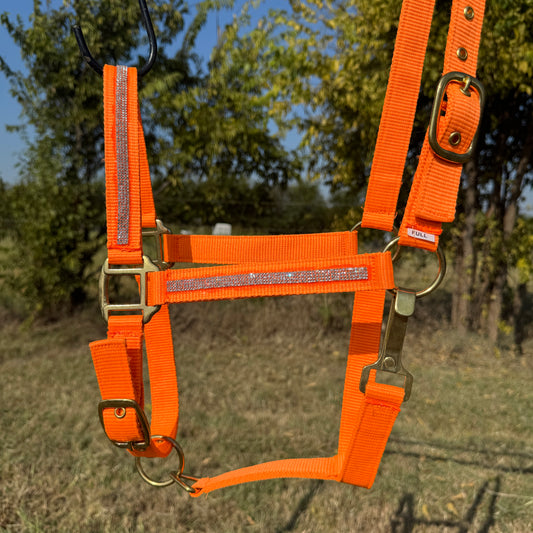 Orange horse halter with Rhinestone stripes hanging against a natural background