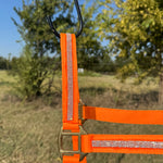 Orange Bling Nylon Horse Halter BNHORA