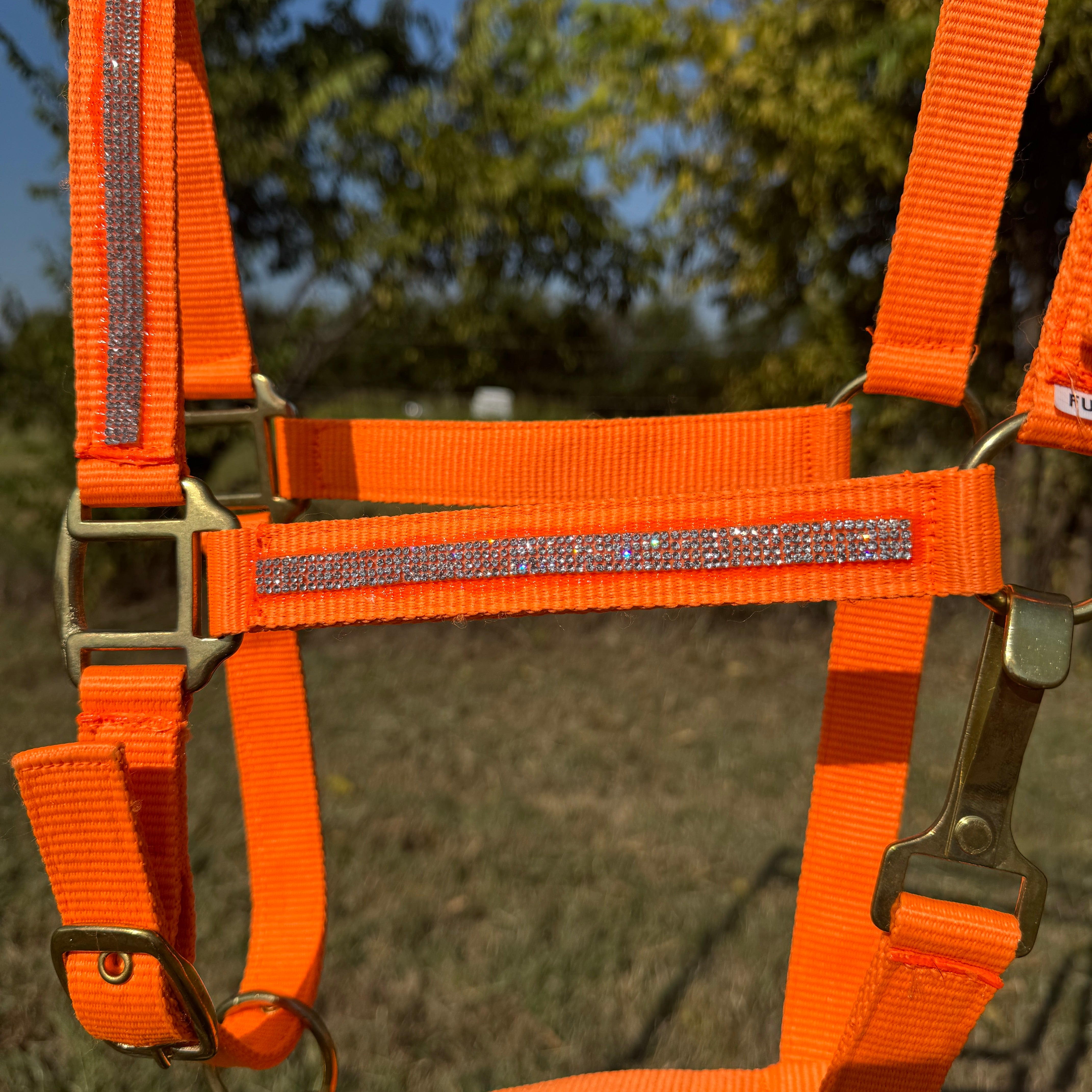 Orange Bling Nylon Horse Halter BNHORA