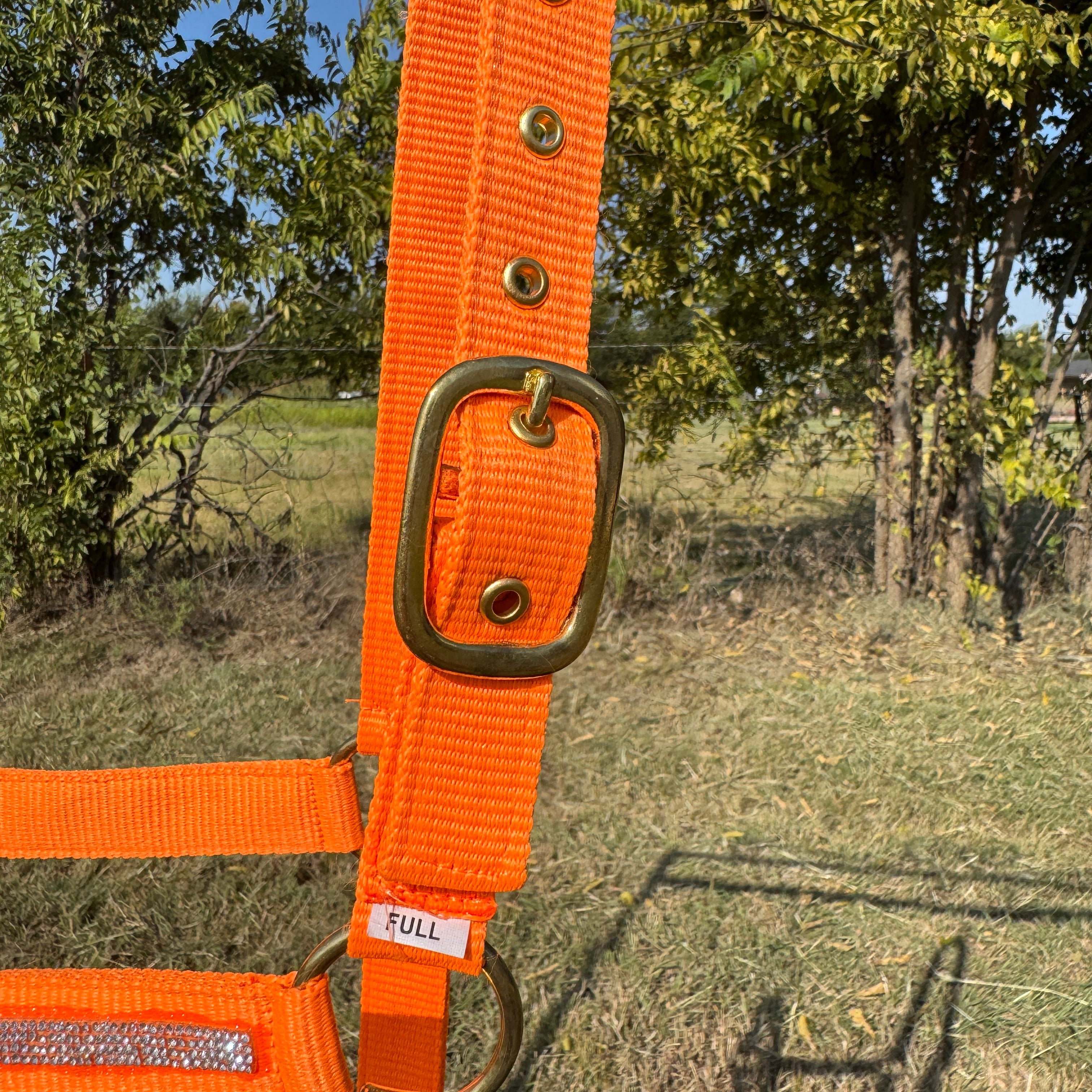 Orange Bling Nylon Horse Halter BNHORA