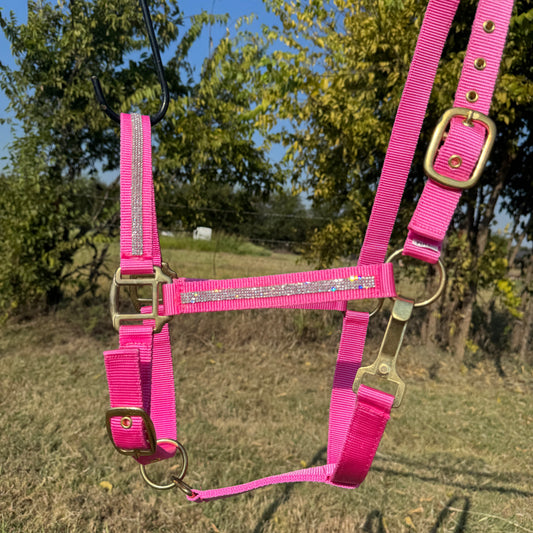 Pink horse halter with brass hardware against a natural background