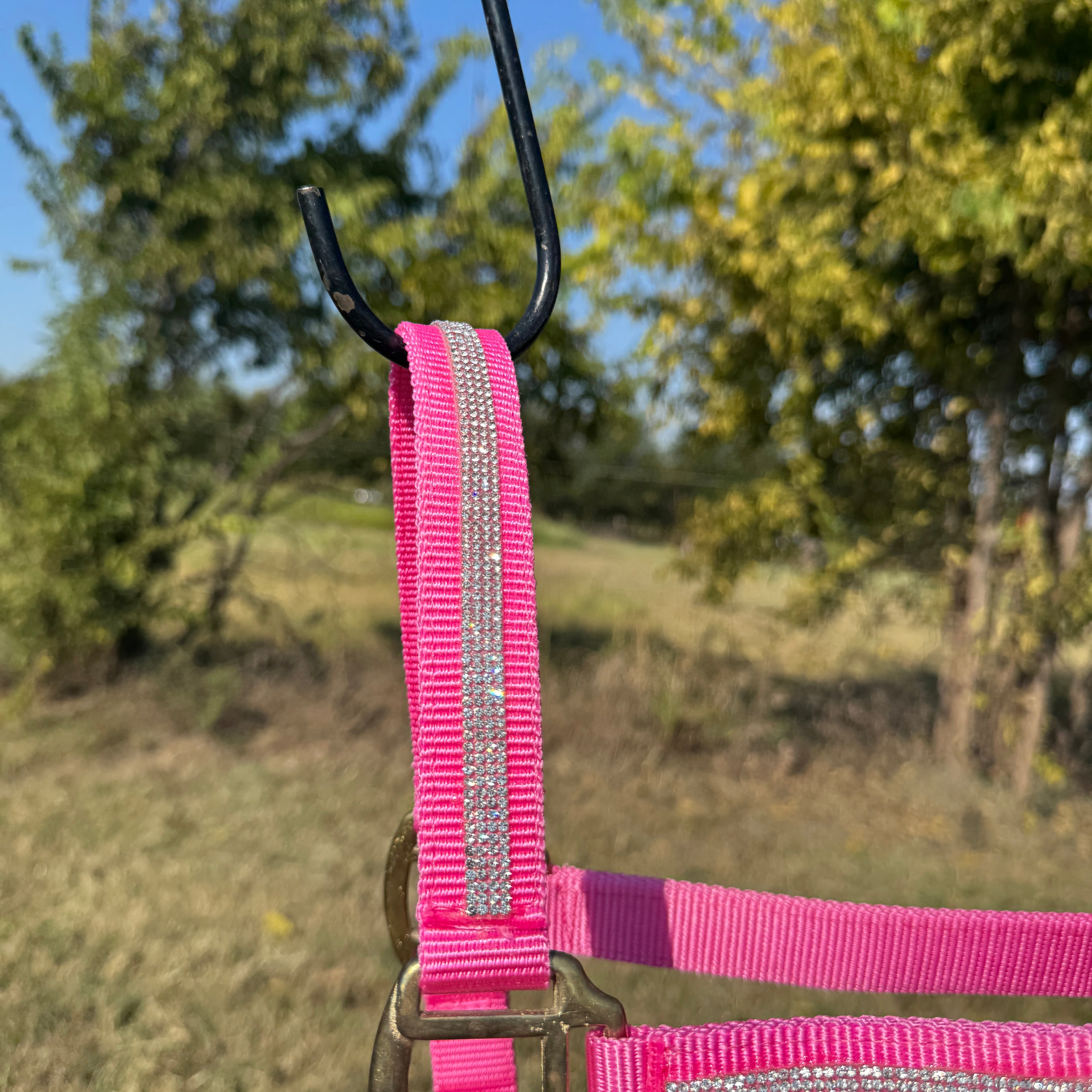 Pink horse halter with brass hardware against a natural background