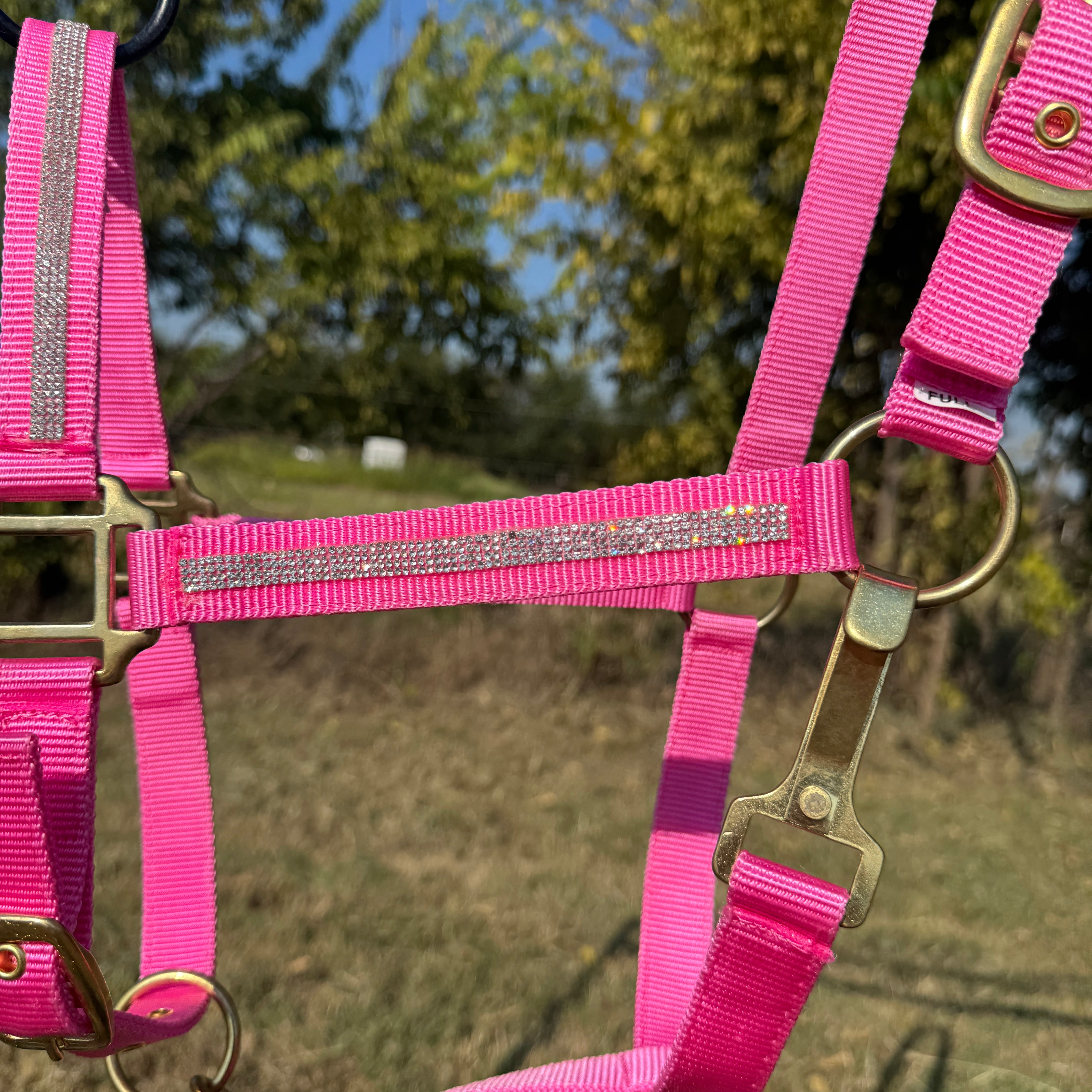 Pink horse halter with brass hardware against a natural background