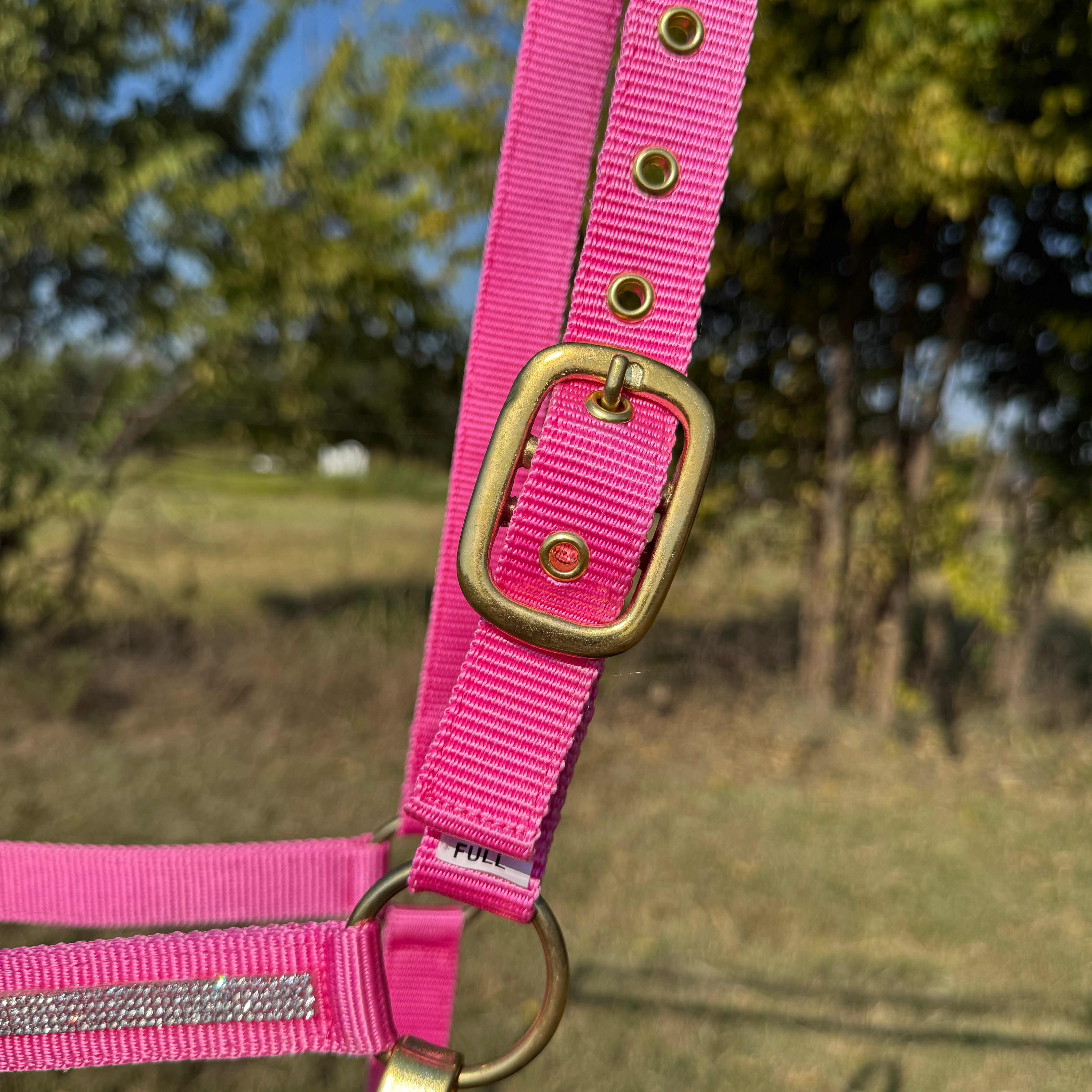Pink horse halter with brass hardware against a natural background