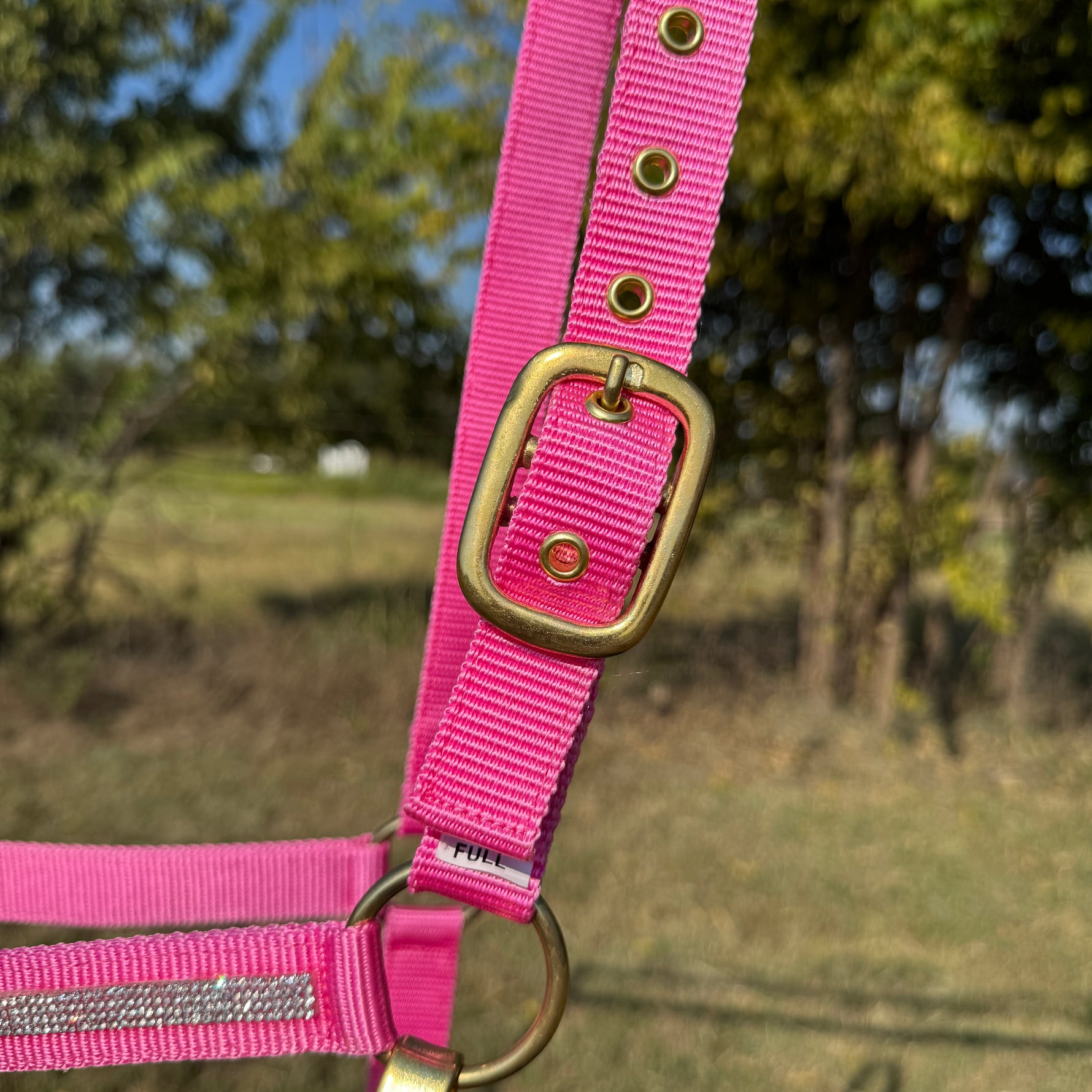 Pink horse halter with brass hardware against a natural background
