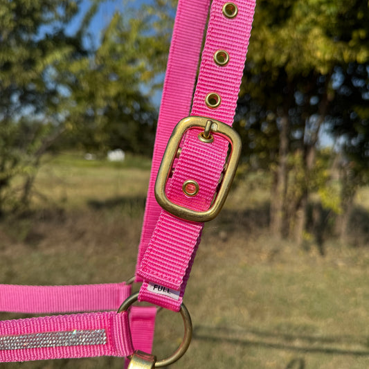 Pink horse halter with brass hardware against a natural background