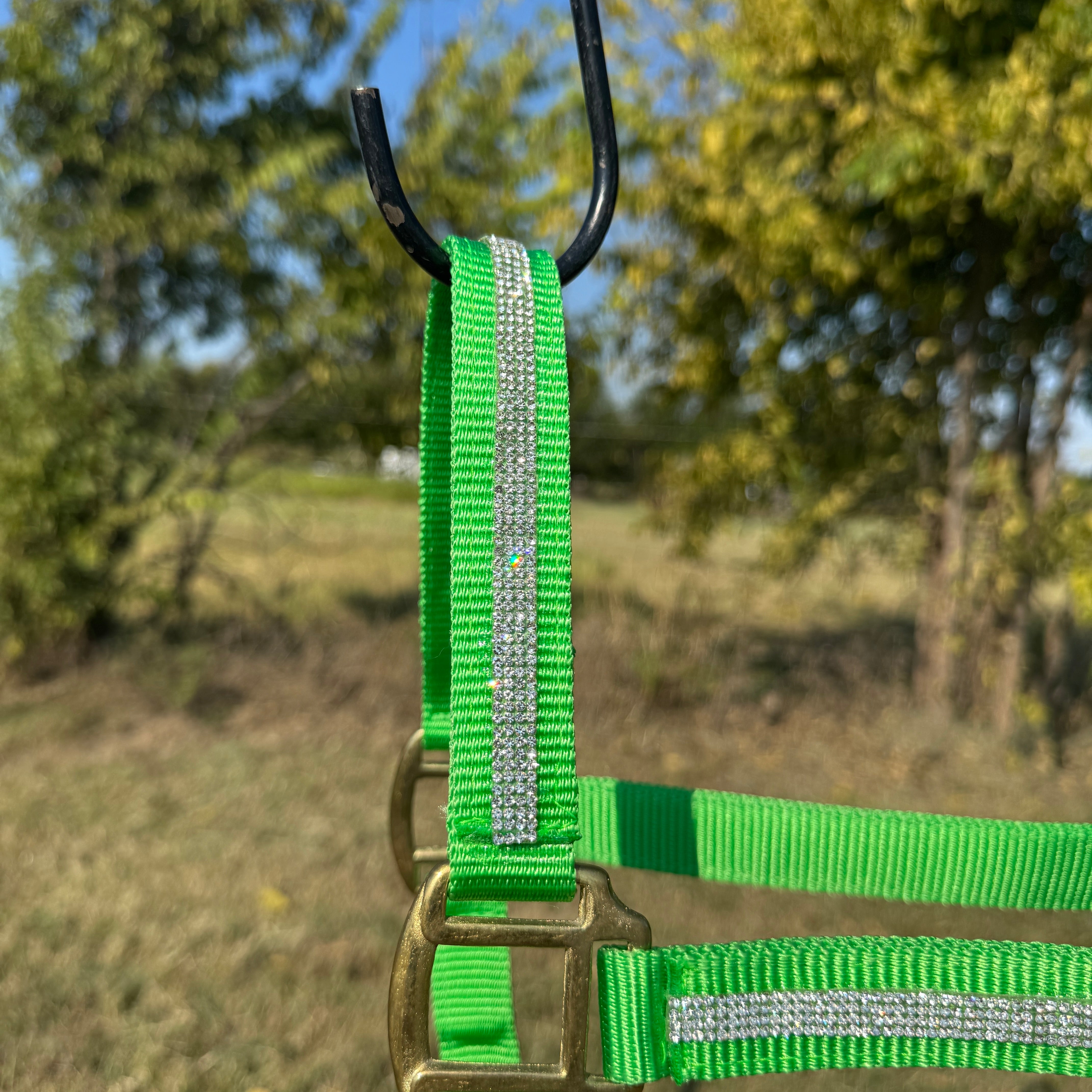 Lime Bling Nylon Horse Halter BNHNGN
