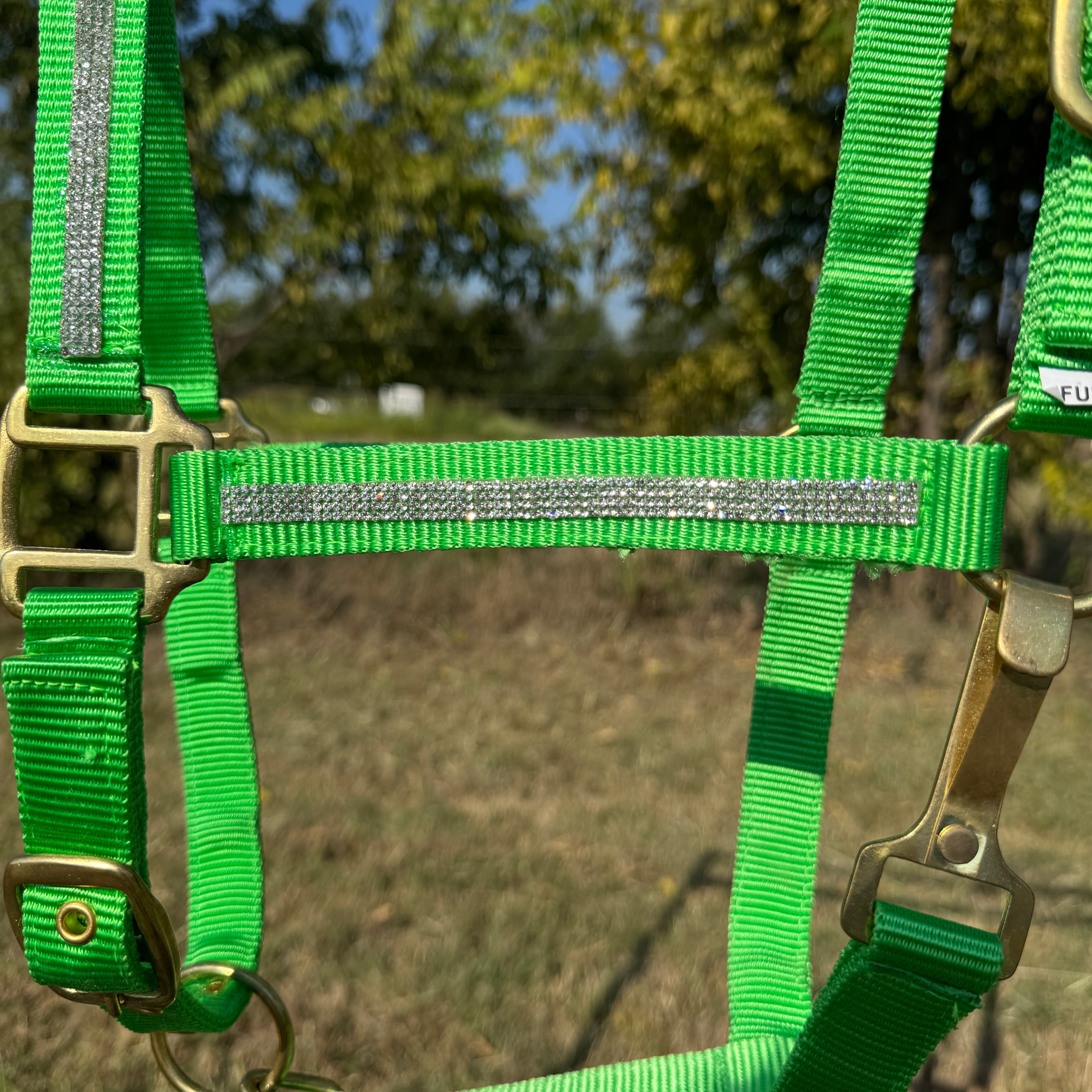 Lime Bling Nylon Horse Halter BNHNGN