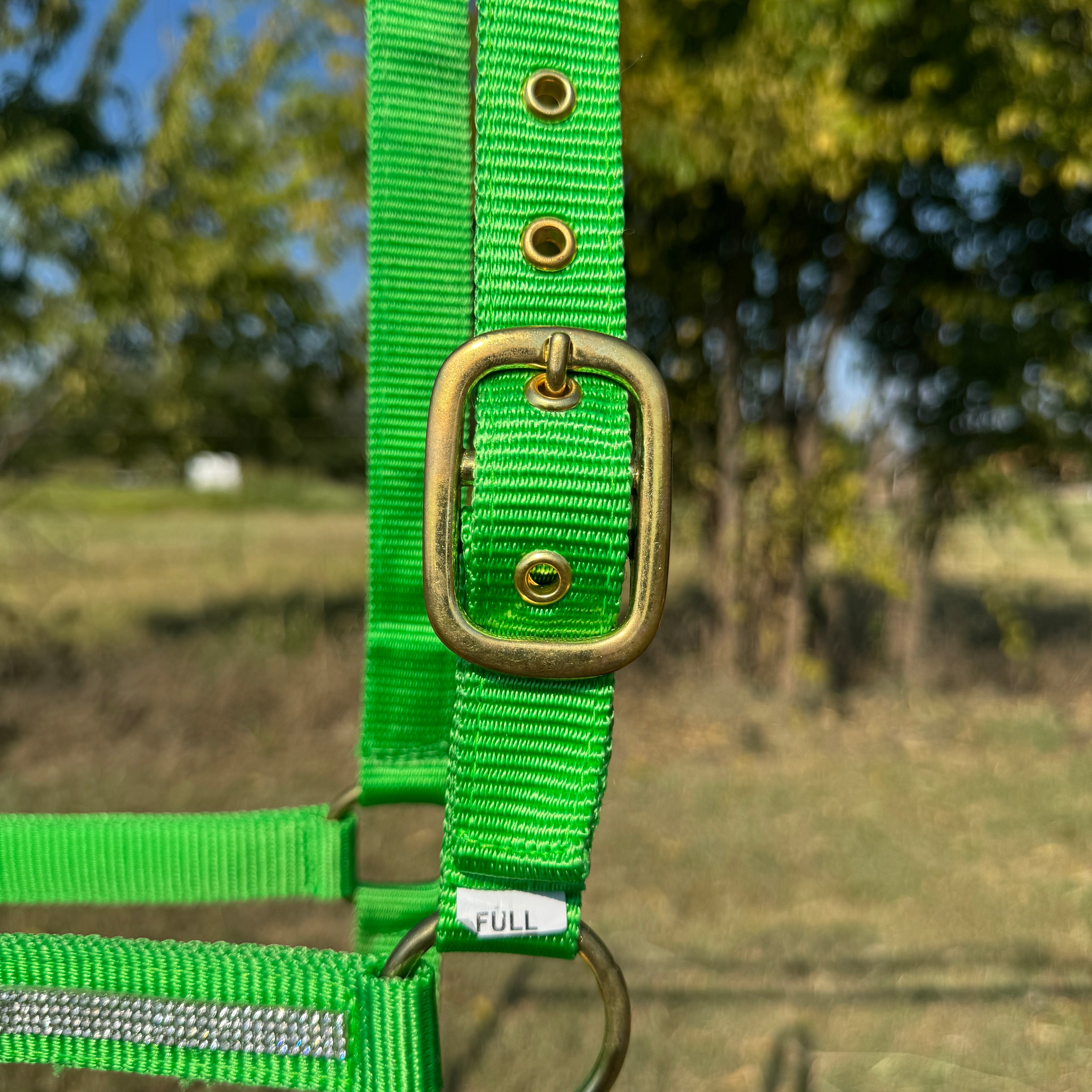 Lime Bling Nylon Horse Halter BNHNGN