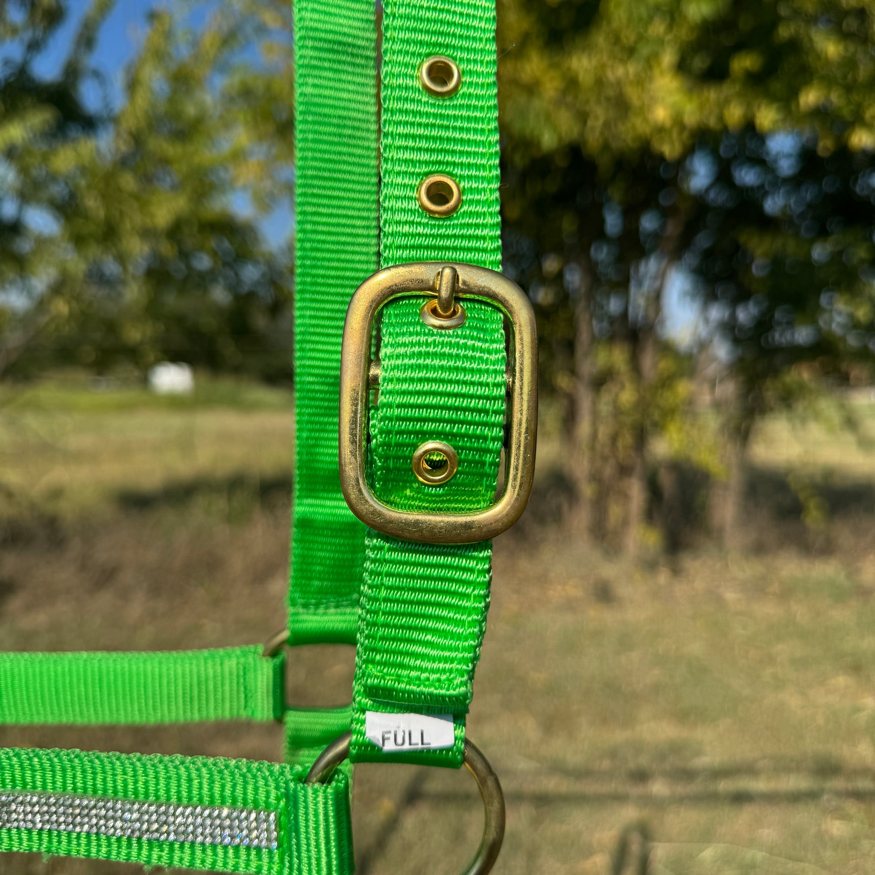 Lime Bling Nylon Horse Halter BNHNGN