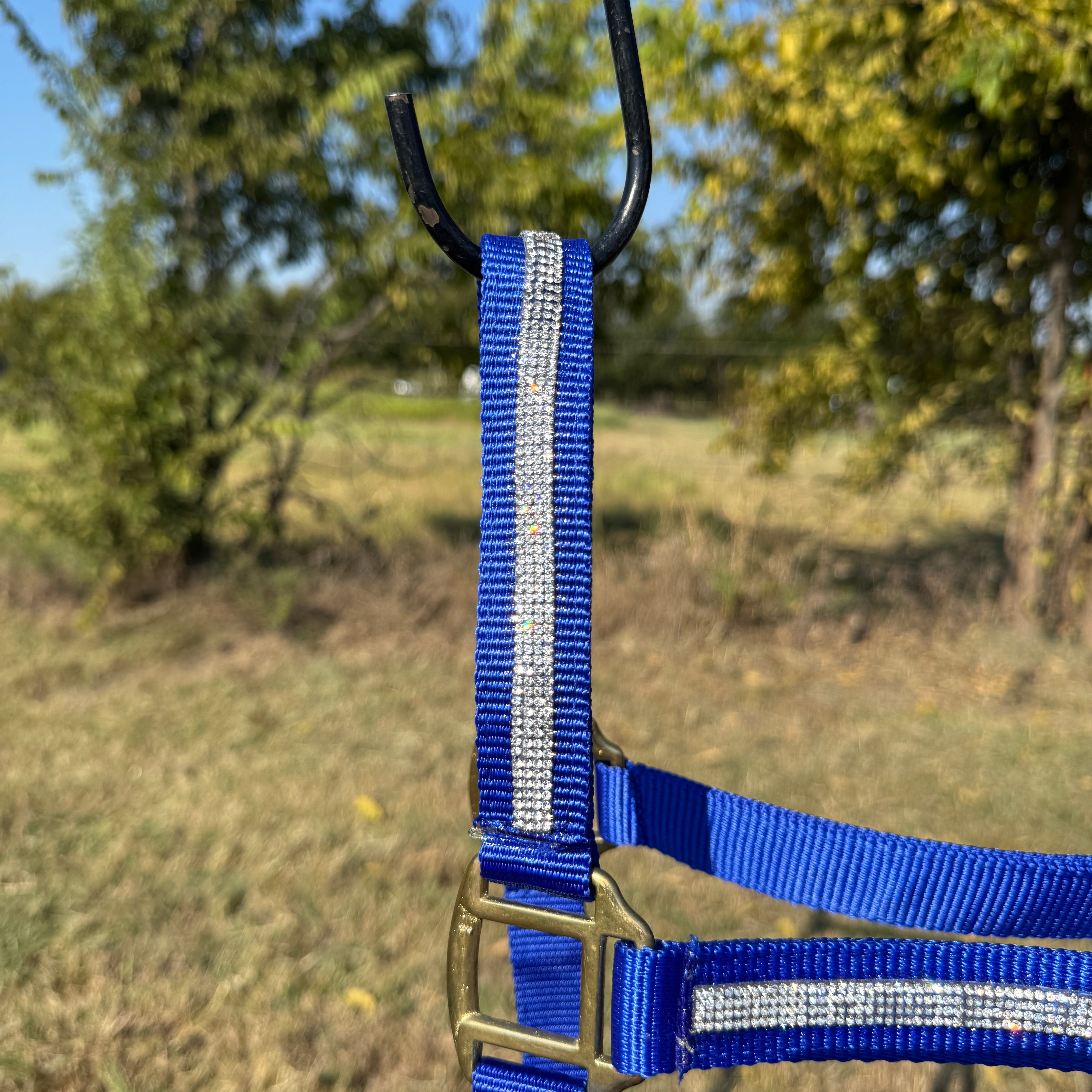 Blue Bling Nylon Horse Halter BNHBLUE