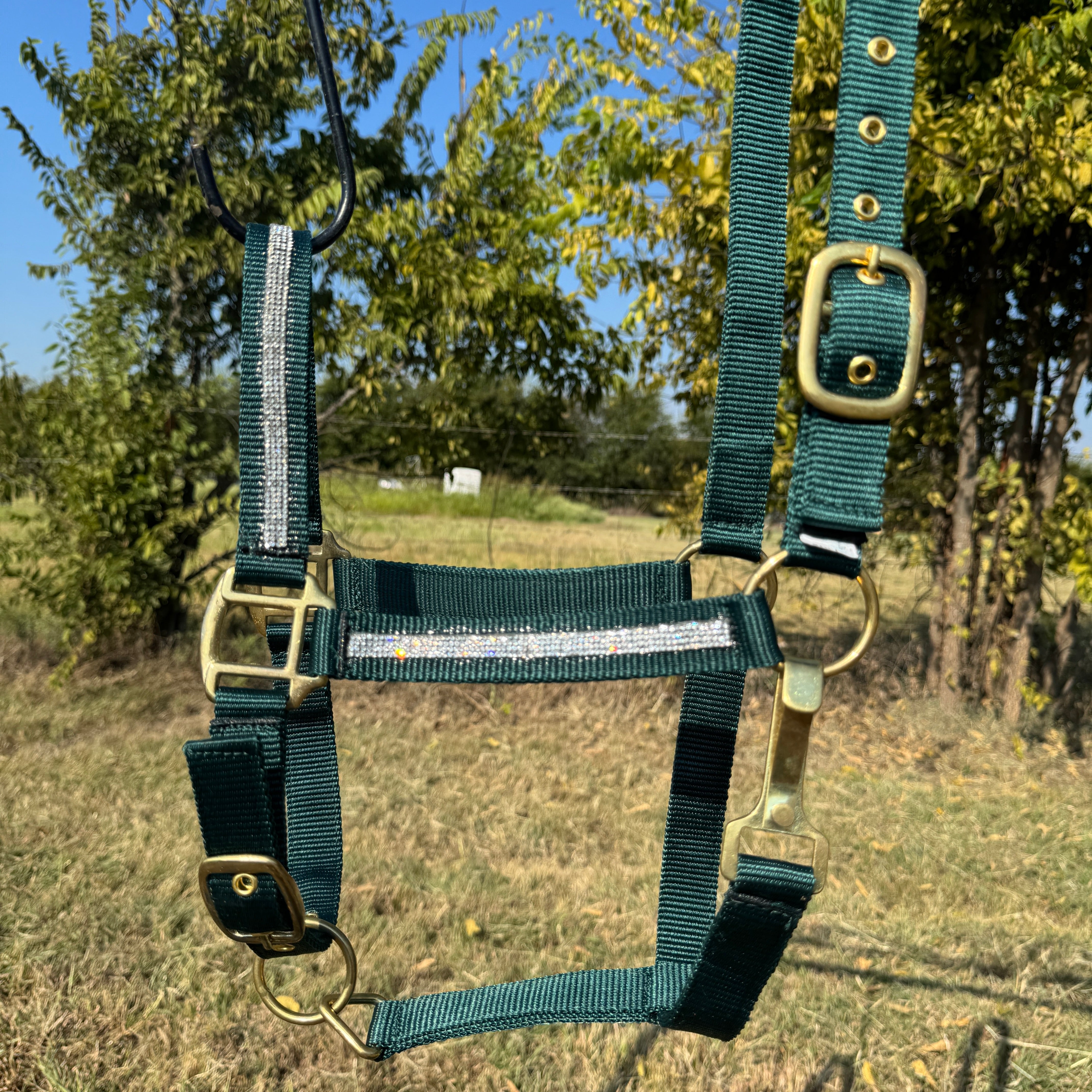 Hunter Green Bling Nylon Horse Halter BNHGRN