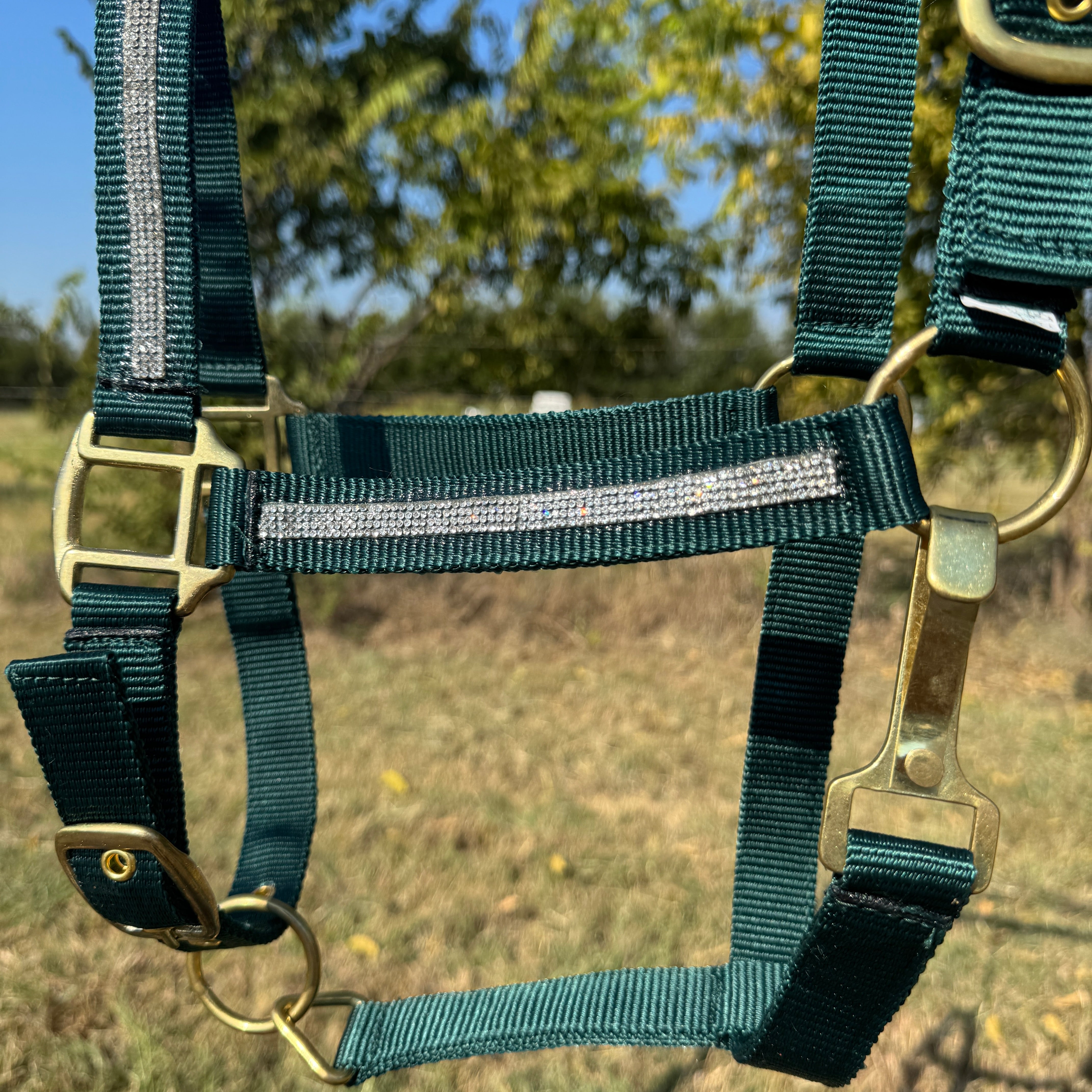 Hunter Green Bling Nylon Horse Halter BNHGRN