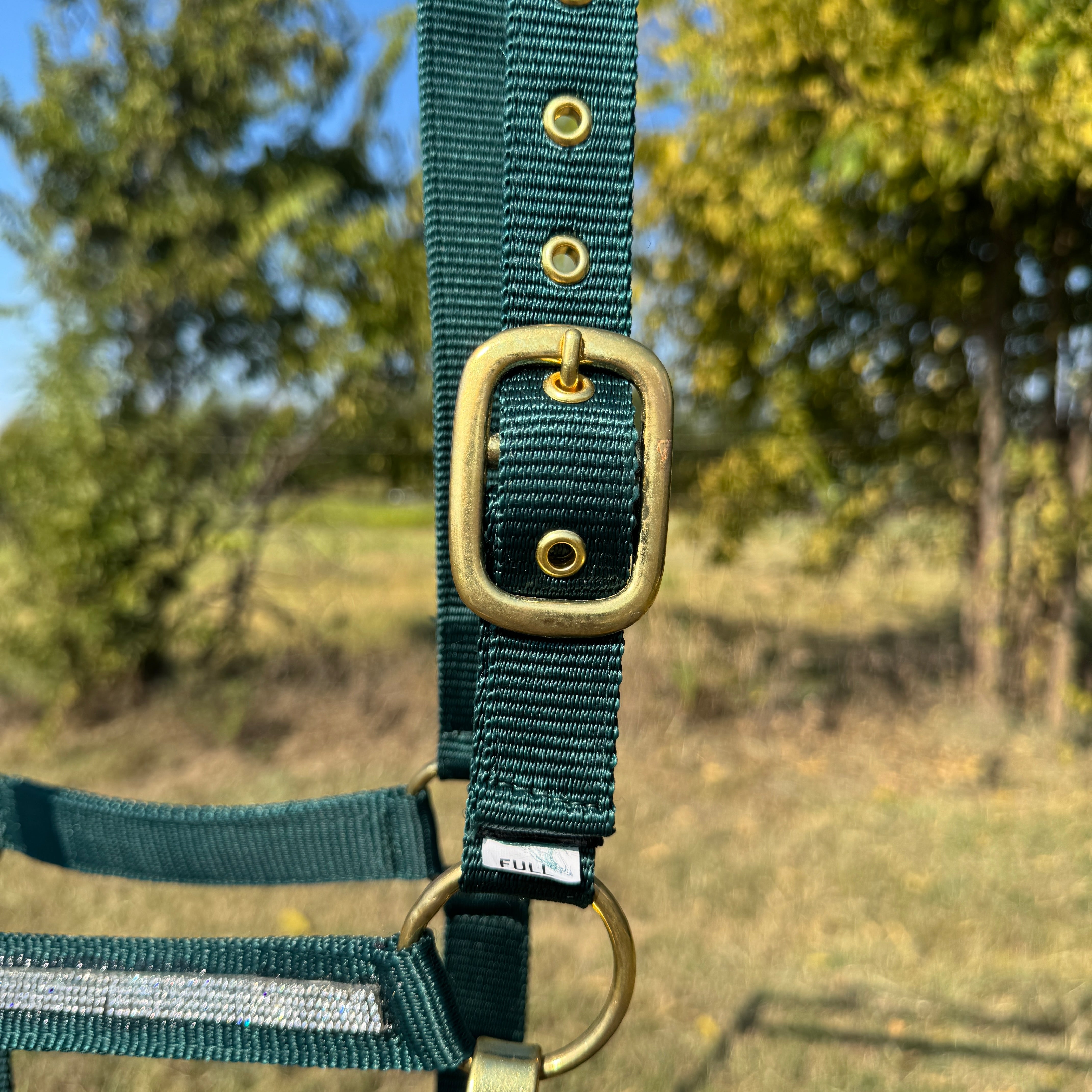 Hunter Green Bling Nylon Horse Halter BNHGRN