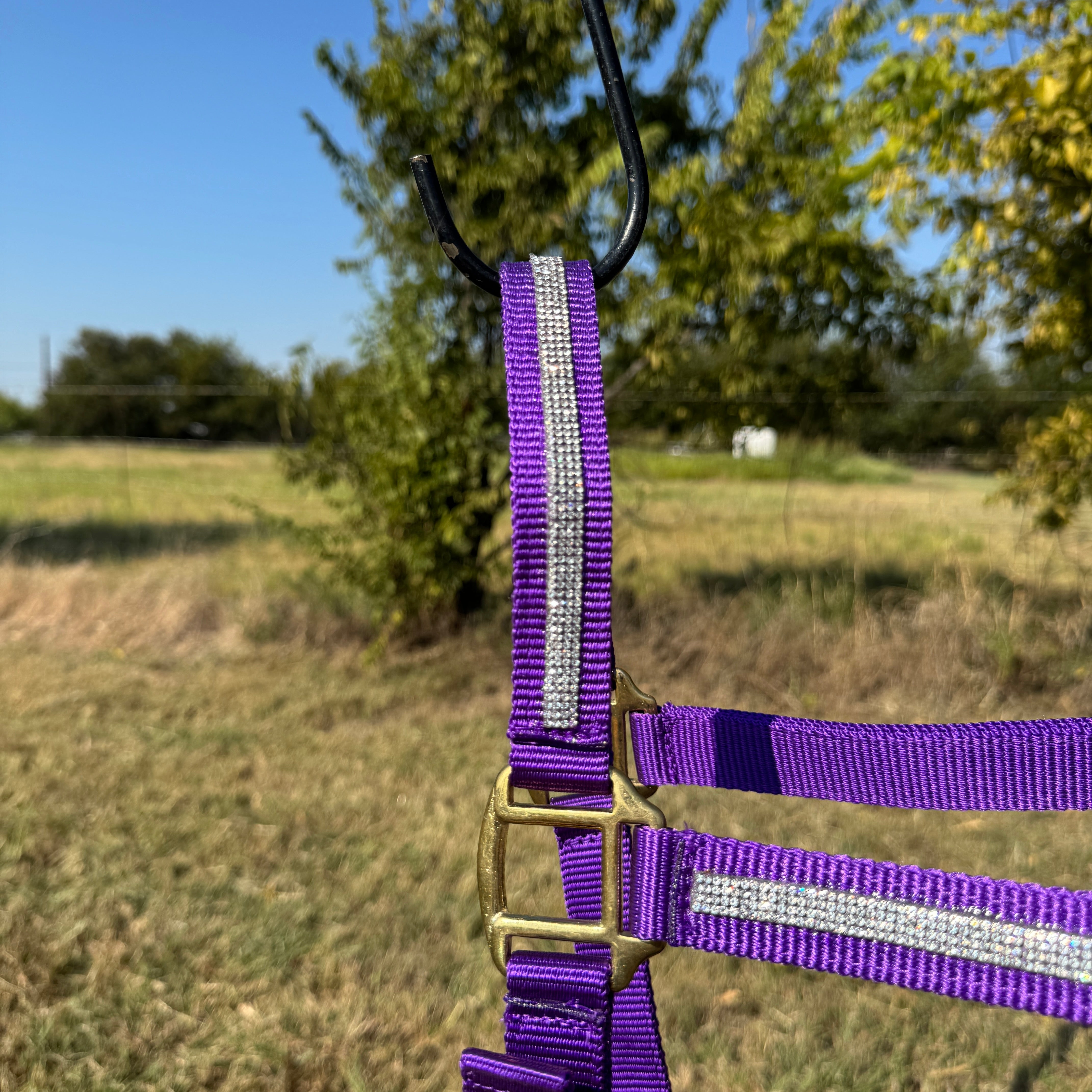 Purple Bling Nylon Horse Halter BNHPUR