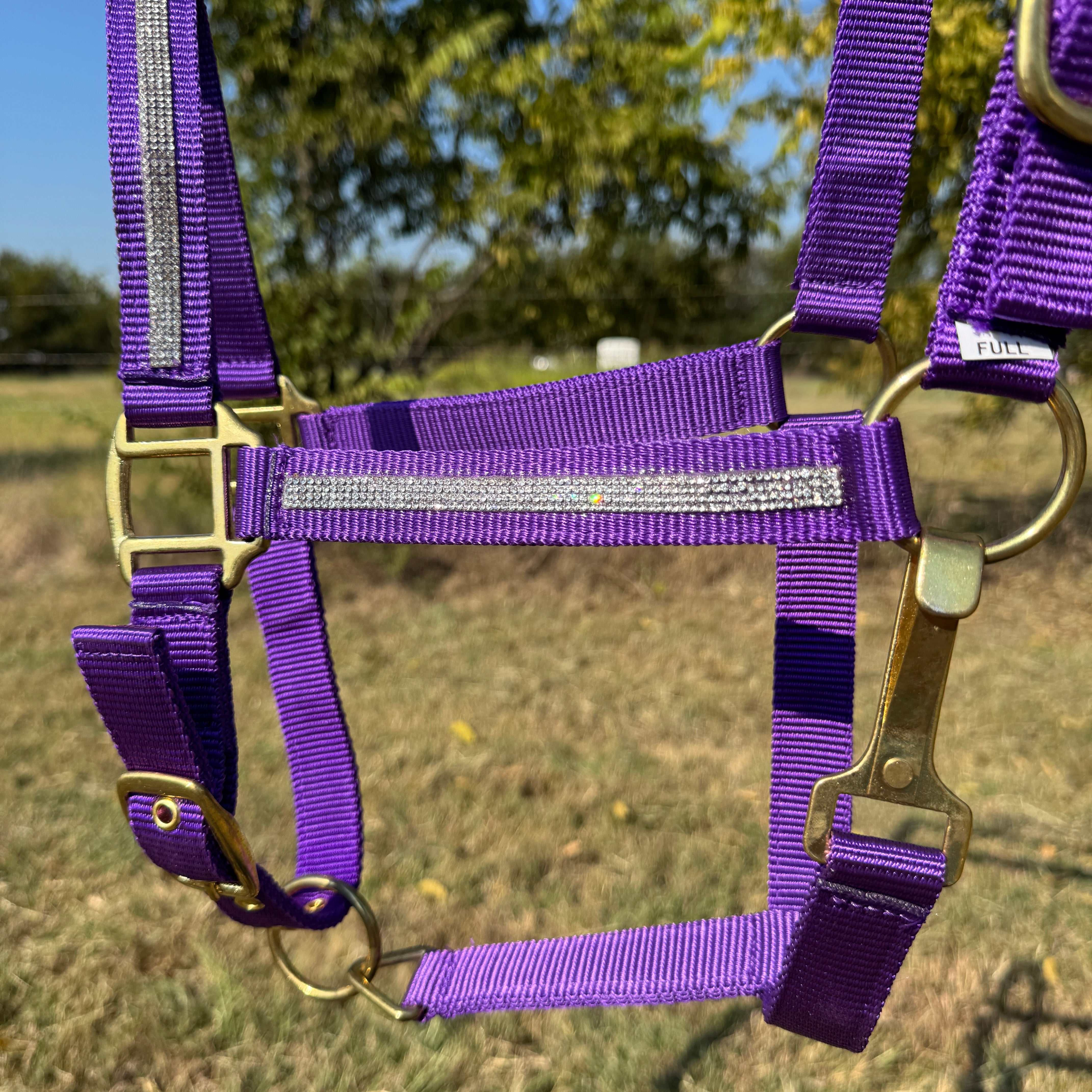 Purple Bling Nylon Horse Halter BNHPUR