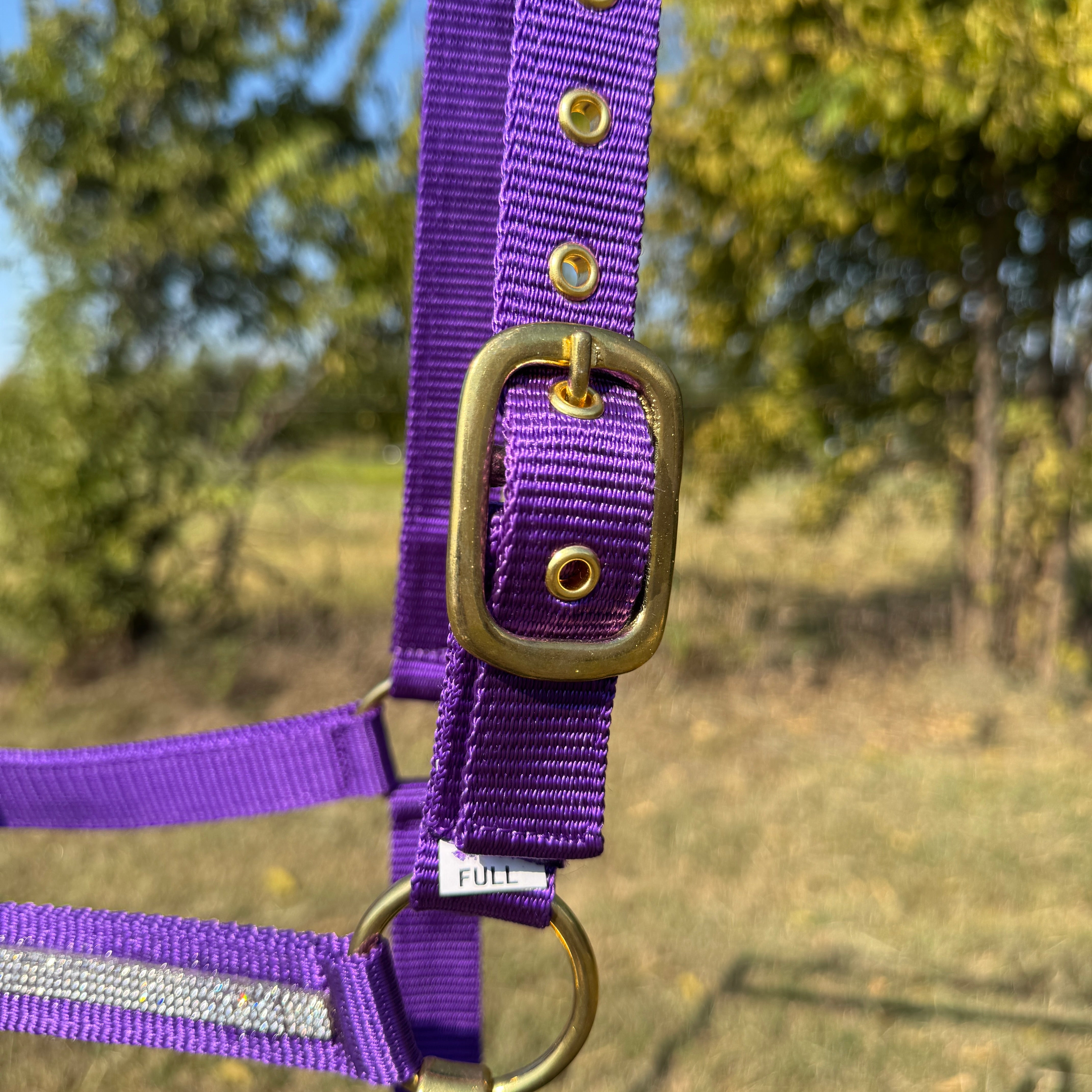 Purple Bling Nylon Horse Halter BNHPUR