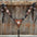 Triple Tone Floral Ruby, Jet and Champagne Browband - Triangle / Gladiator Breastcollar Tack Set #BBBC451