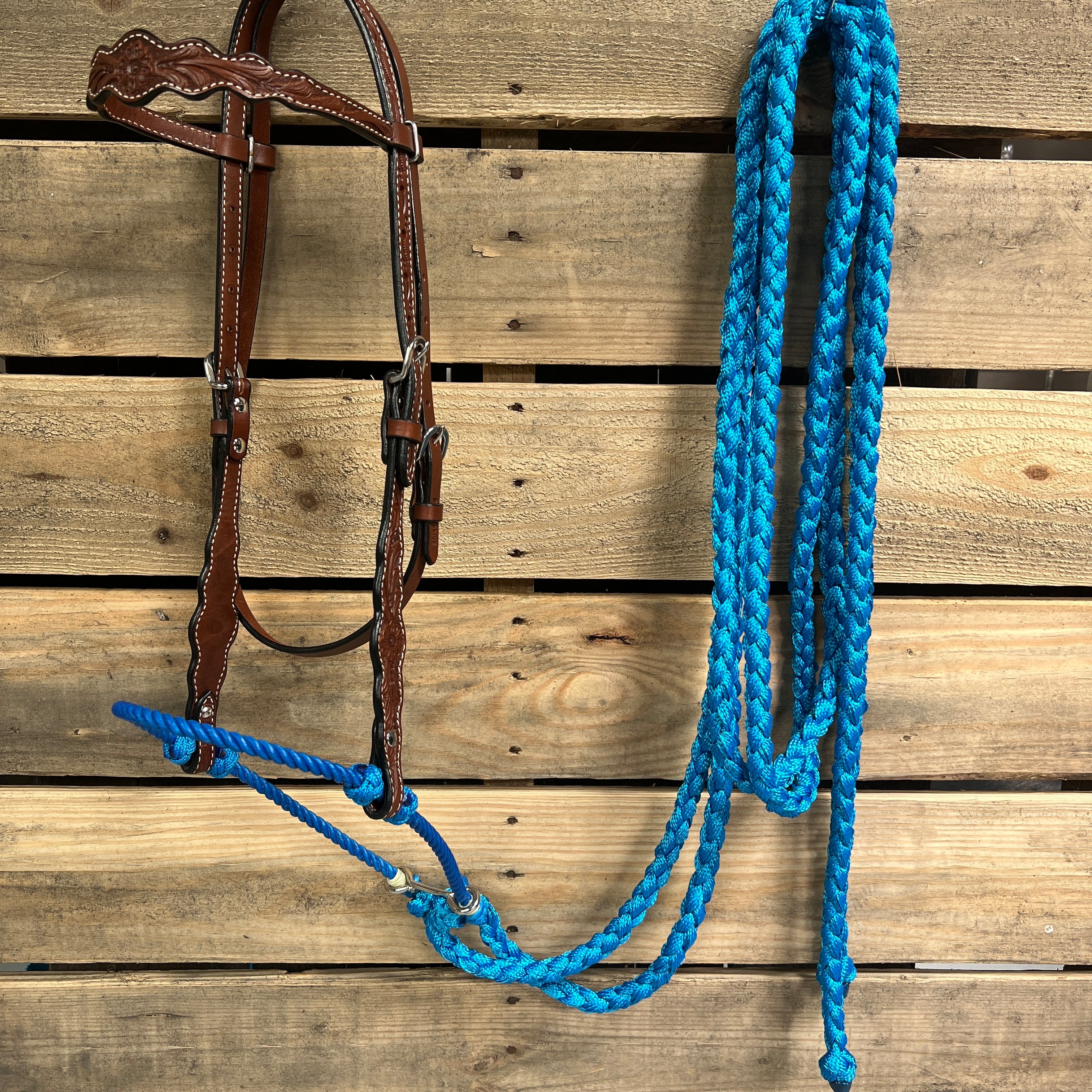 Medium Oil Floral Scalloped Blue Loping Hackamore #LHK021