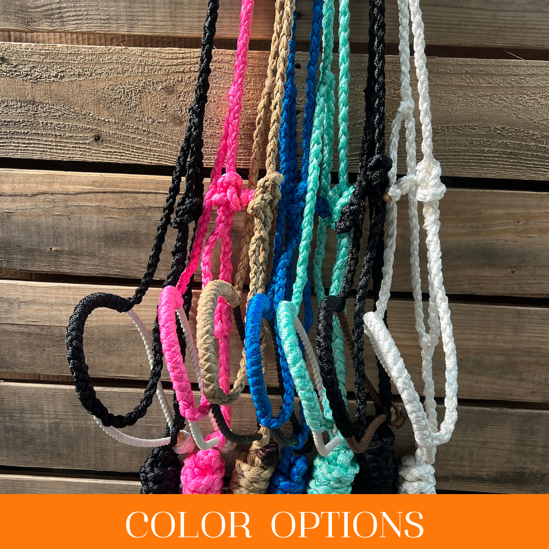 Lariat Mule Tape Halters - Assorted Colors-