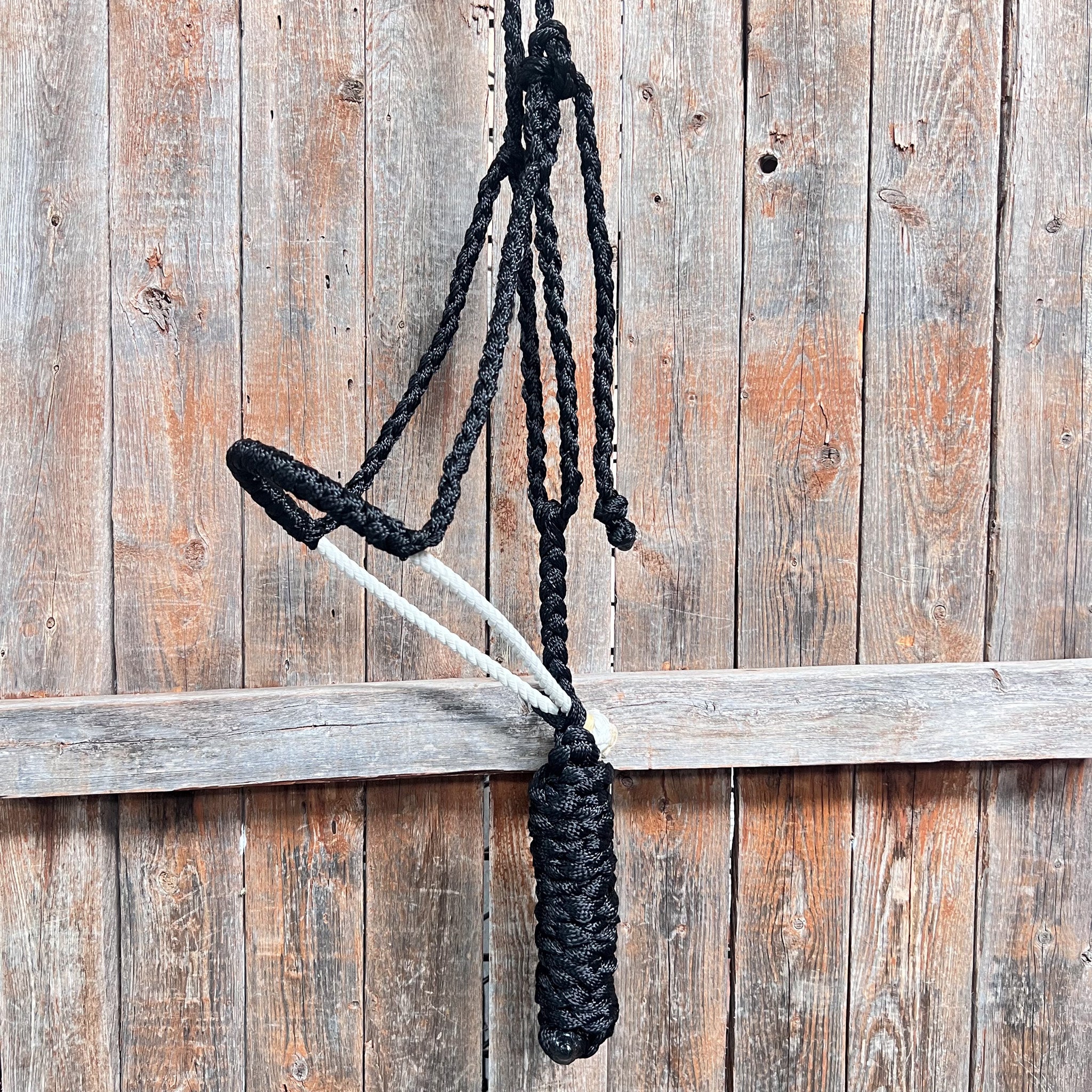 Black Lariat Noseband Mule Tape Halter