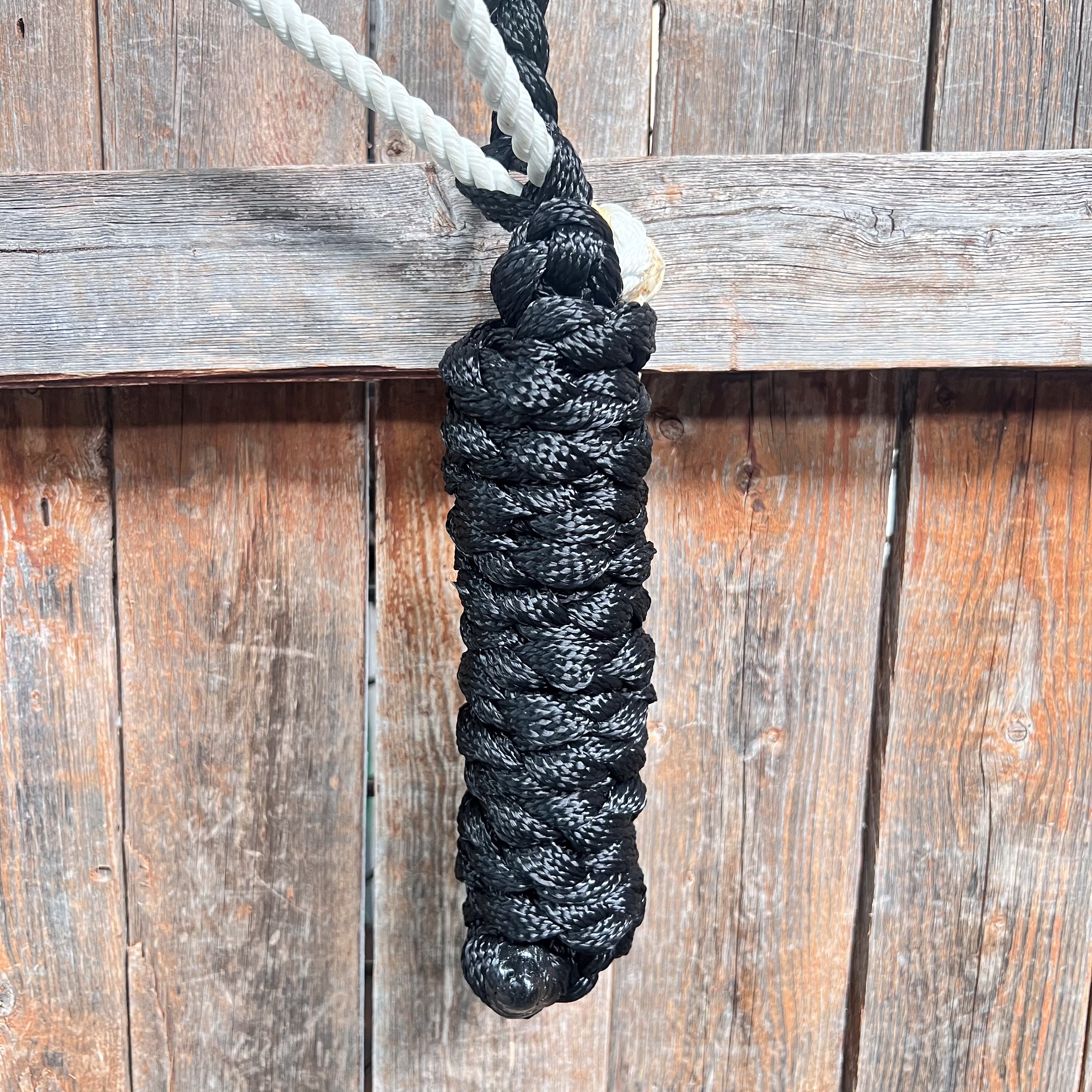 Black Lariat Noseband Mule Tape Halter