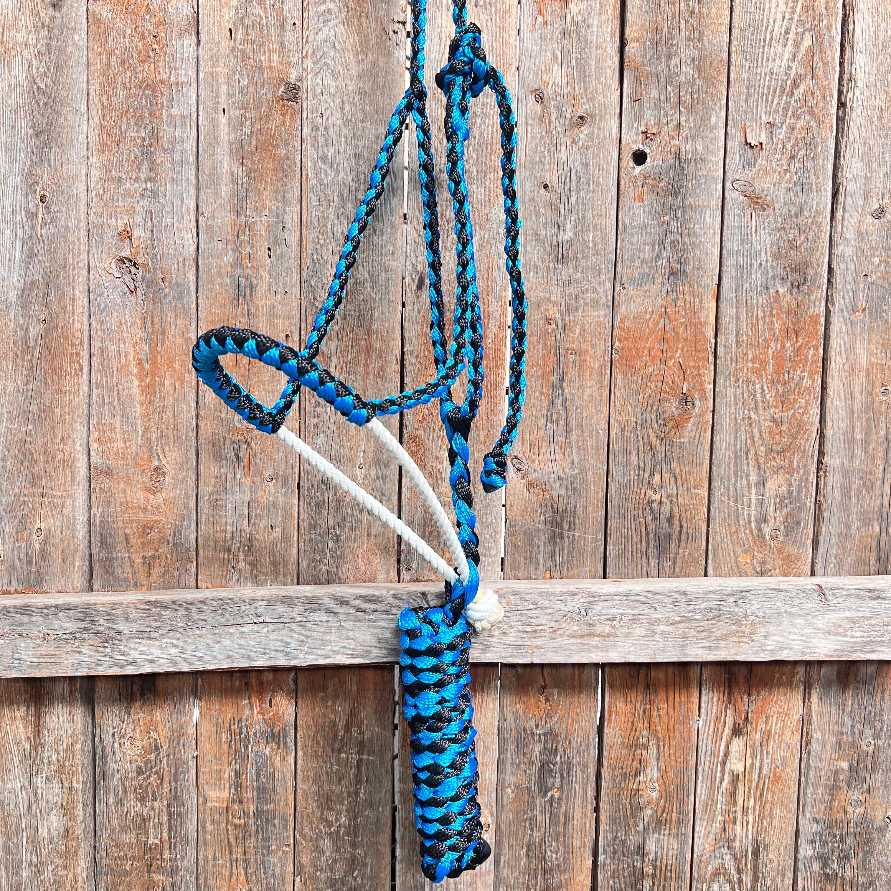 Blue and Black Lariat Noseband Mule Tape Halter
