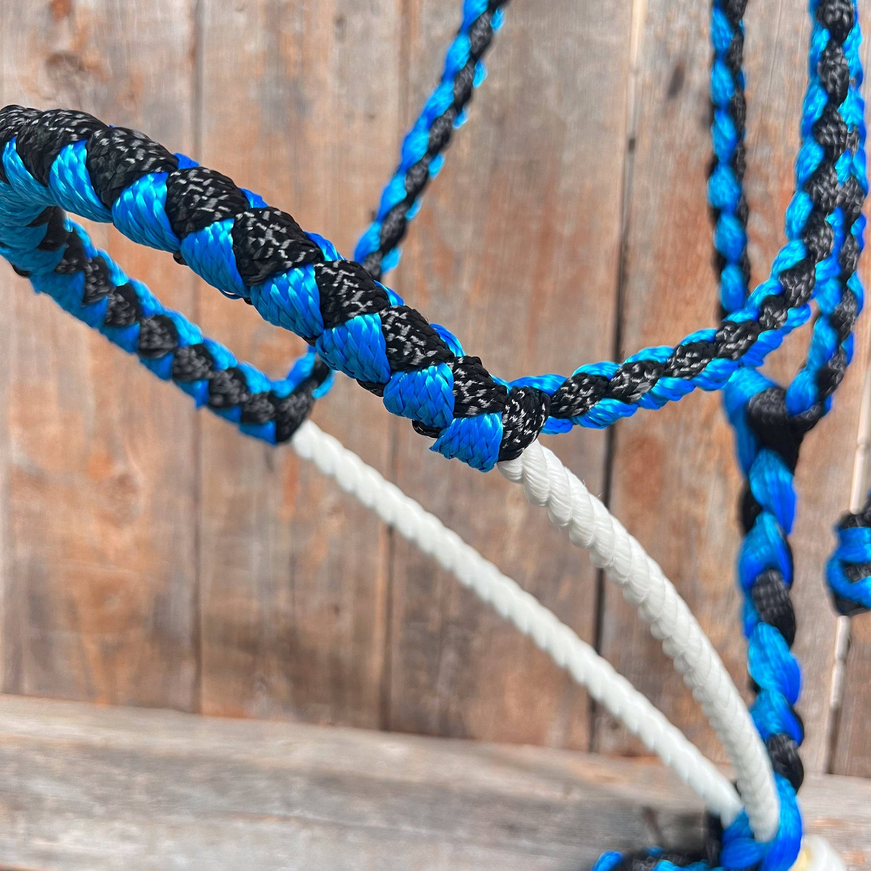 Blue and Black Lariat Noseband Mule Tape Halter