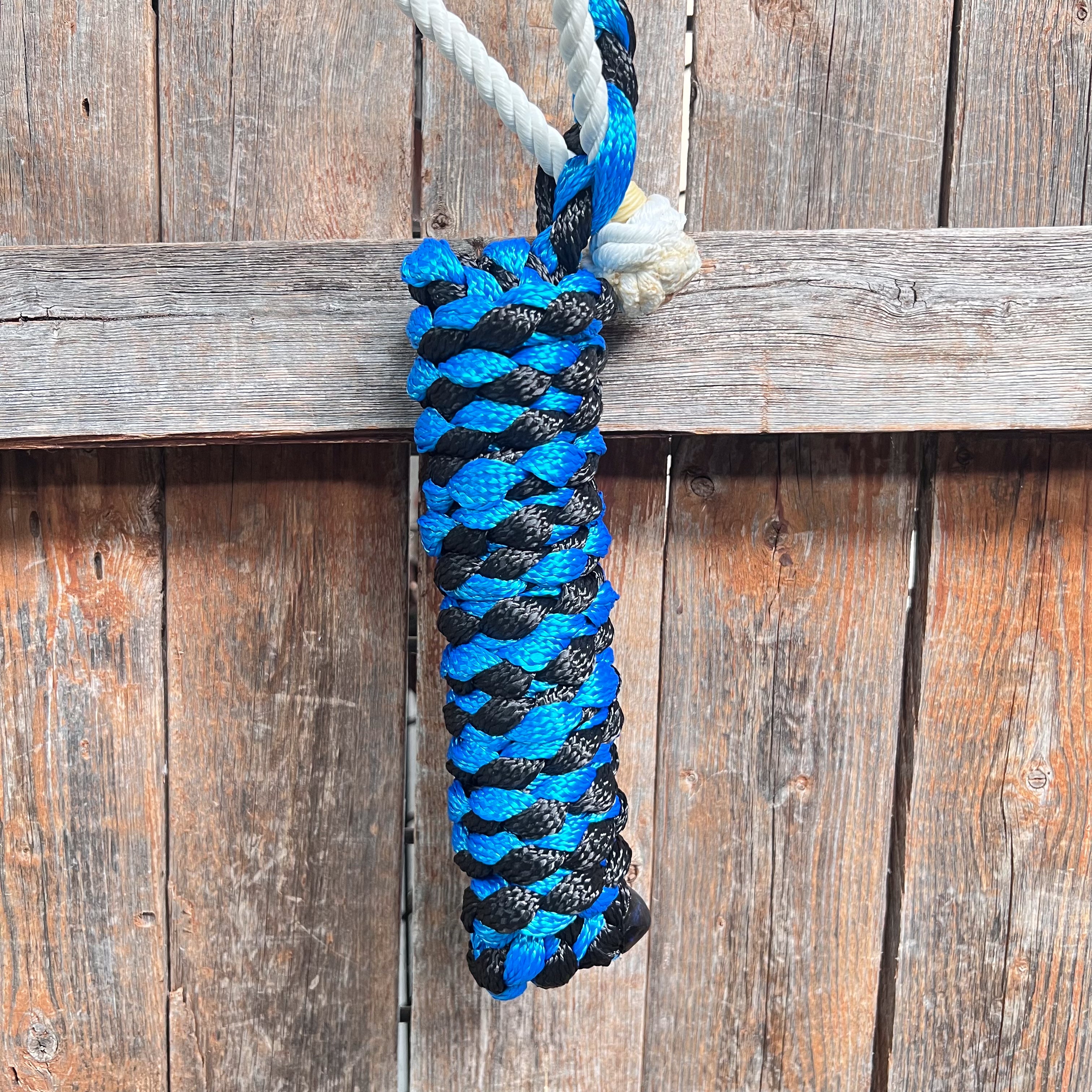 Blue and Black Lariat Noseband Mule Tape Halter