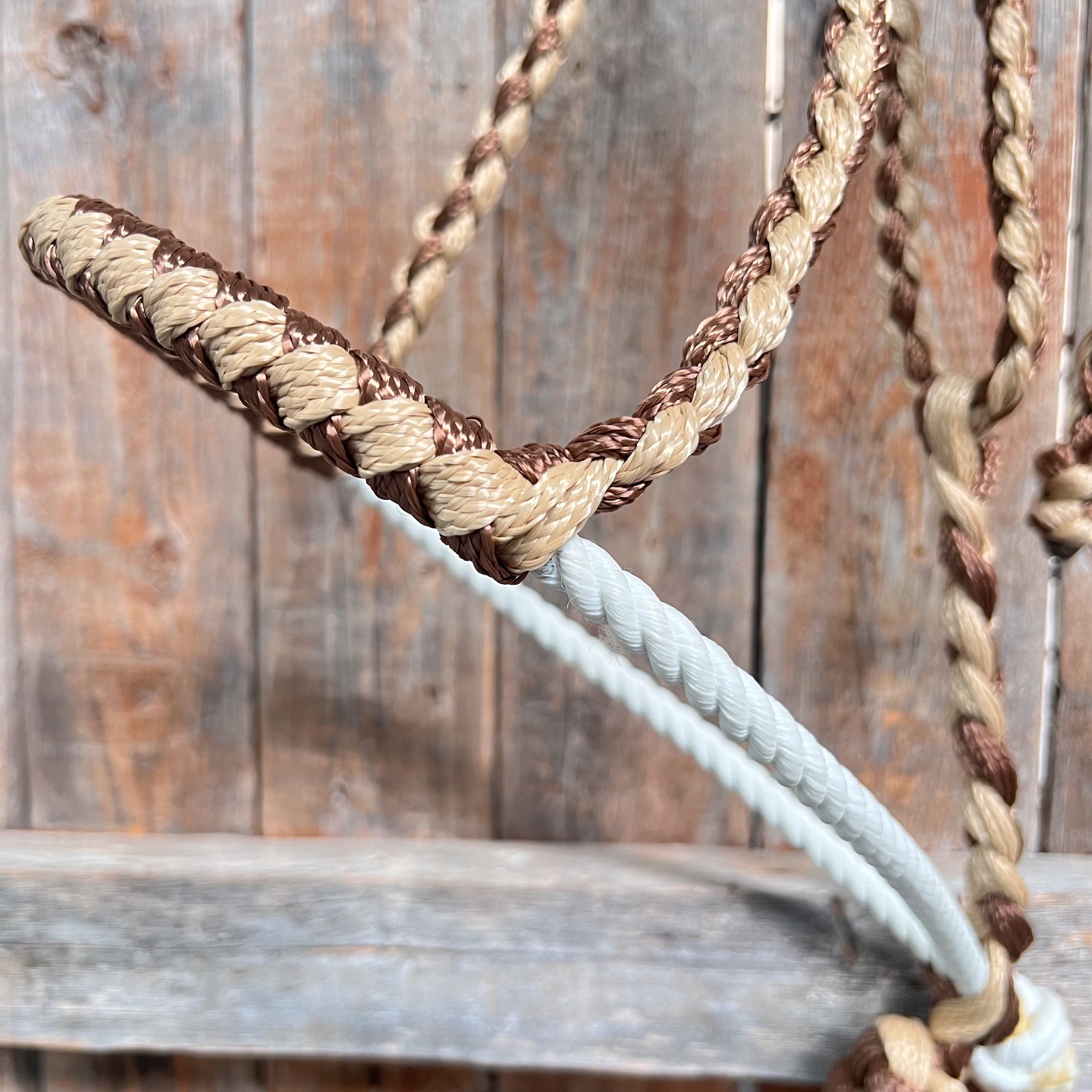 Brown and Tan Lariat Noseband Mule Tape Halter