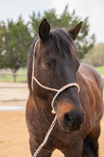 Brown and White Lariat Noseband Mule Tape Halter