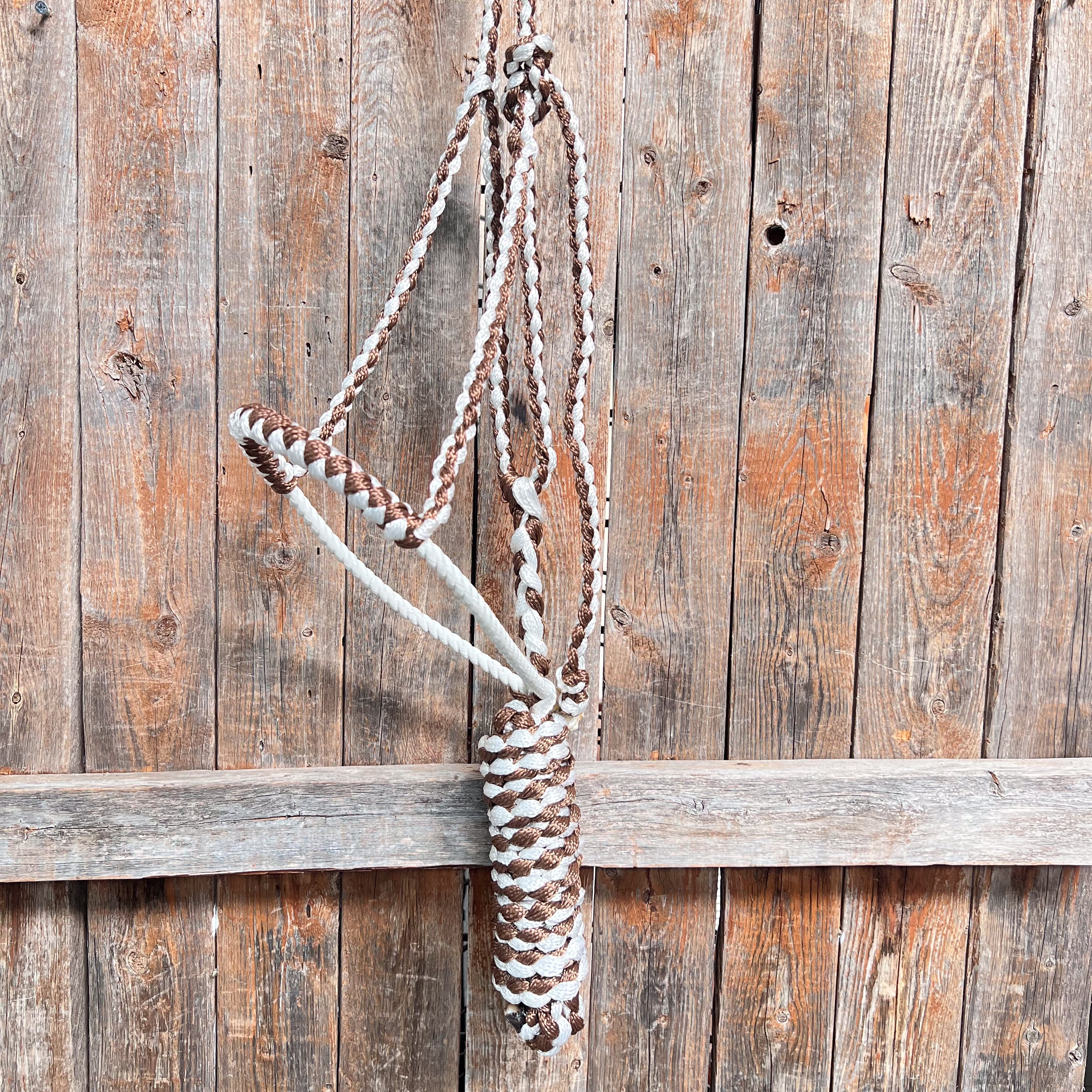 Brown and White Lariat Noseband Mule Tape Halter