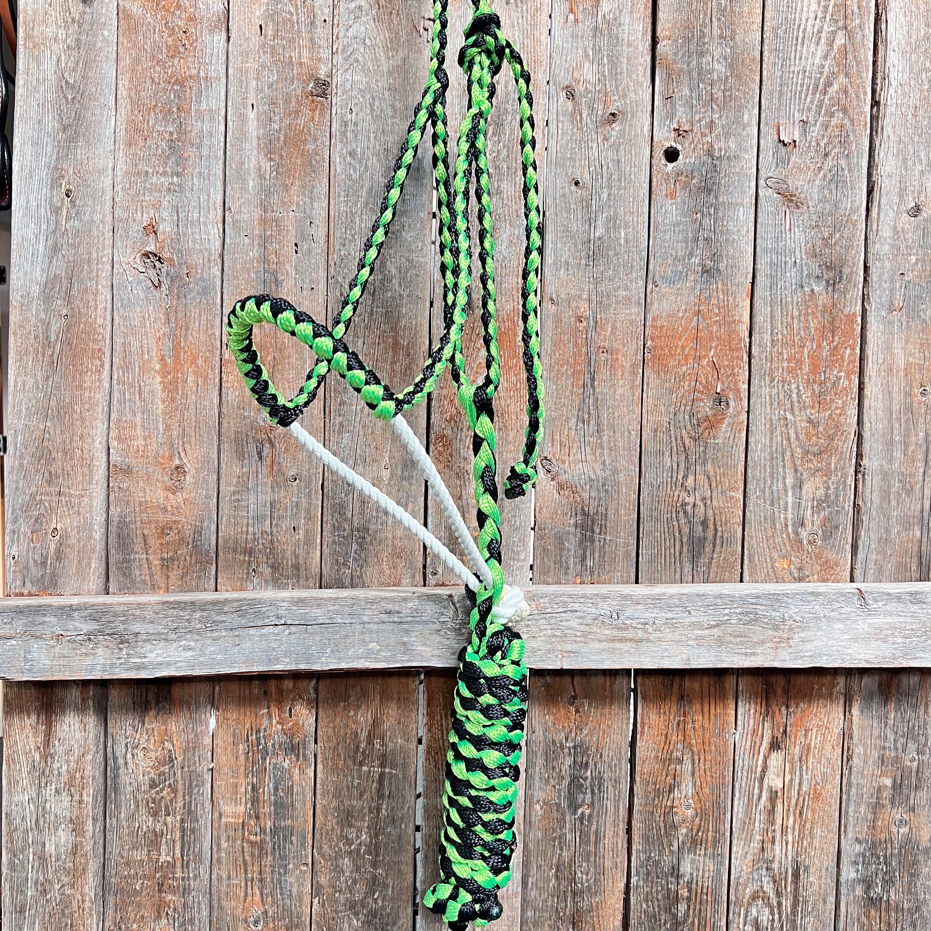 Green and Black Lariat Noseband Mule Tape Halter