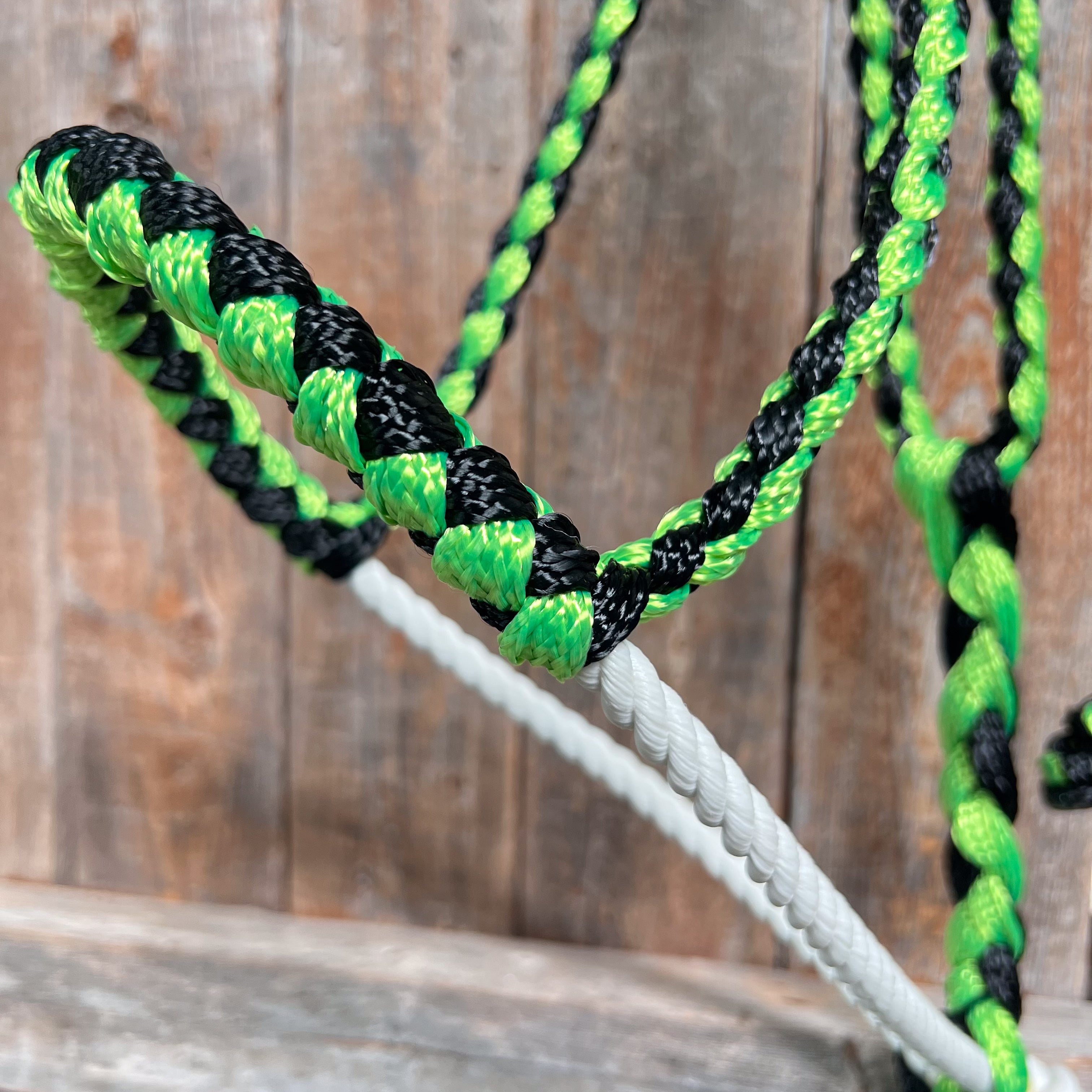 Green and Black Lariat Noseband Mule Tape Halter