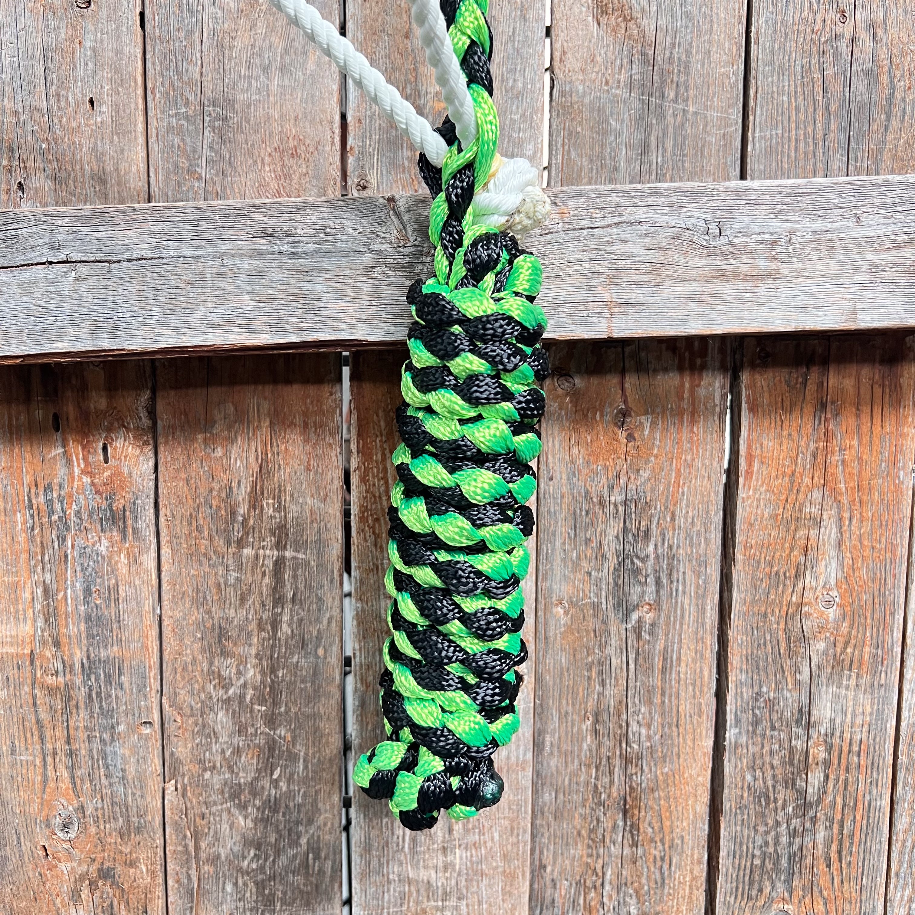 Green and Black Lariat Noseband Mule Tape Halter